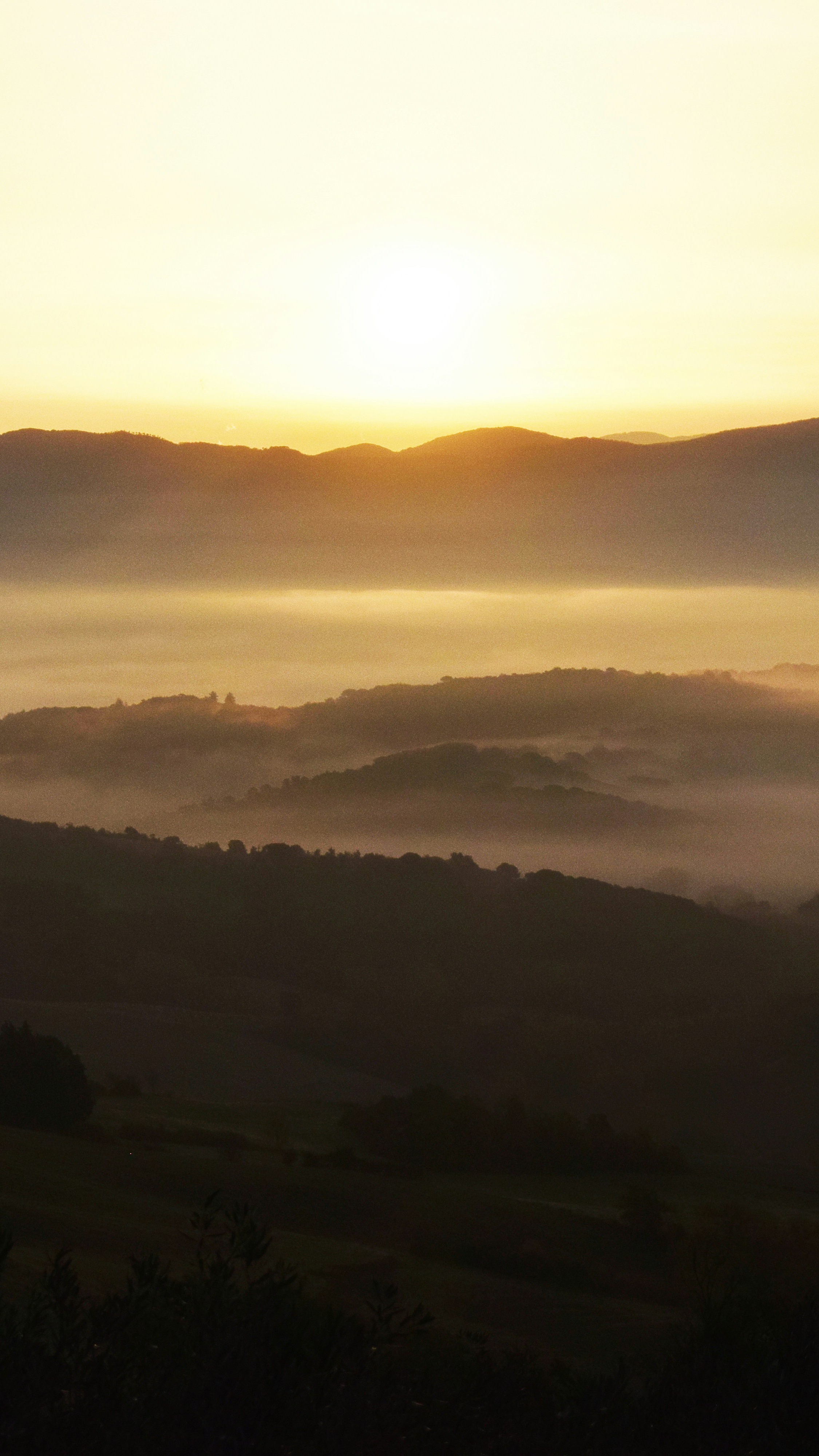 Landscapes