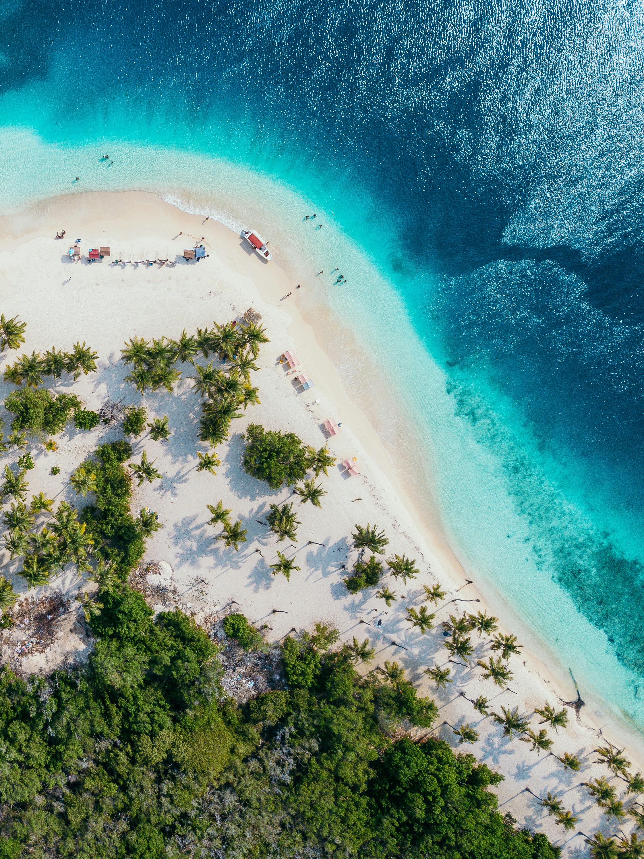 Aerial View of Tropical Island Beach