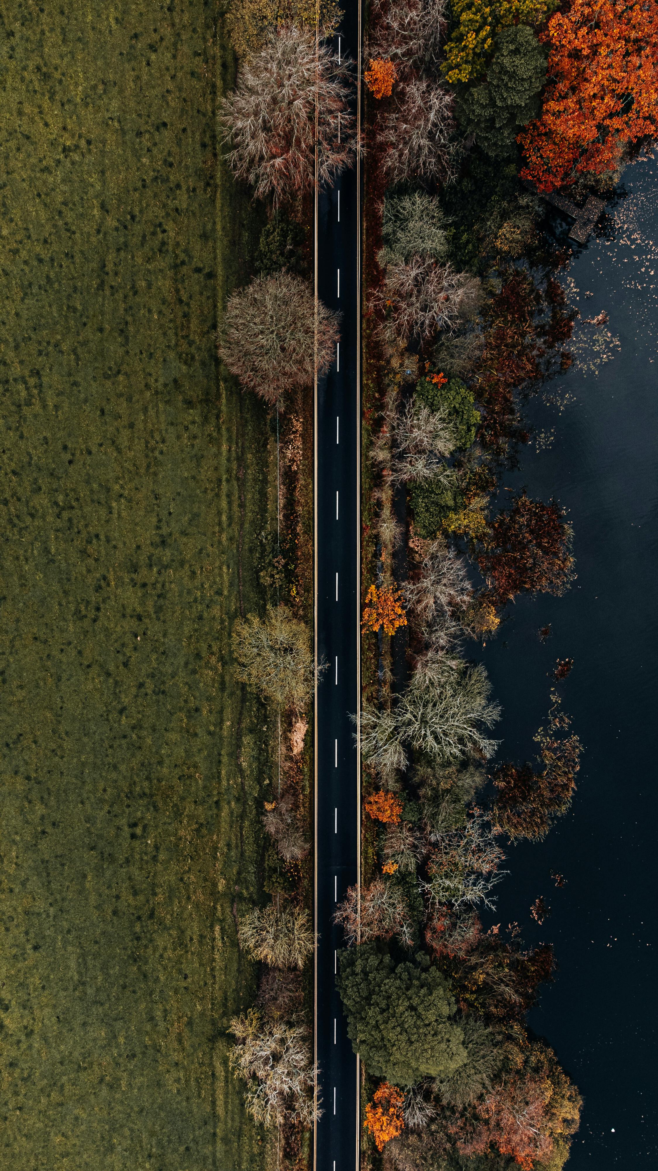 Wallpapers