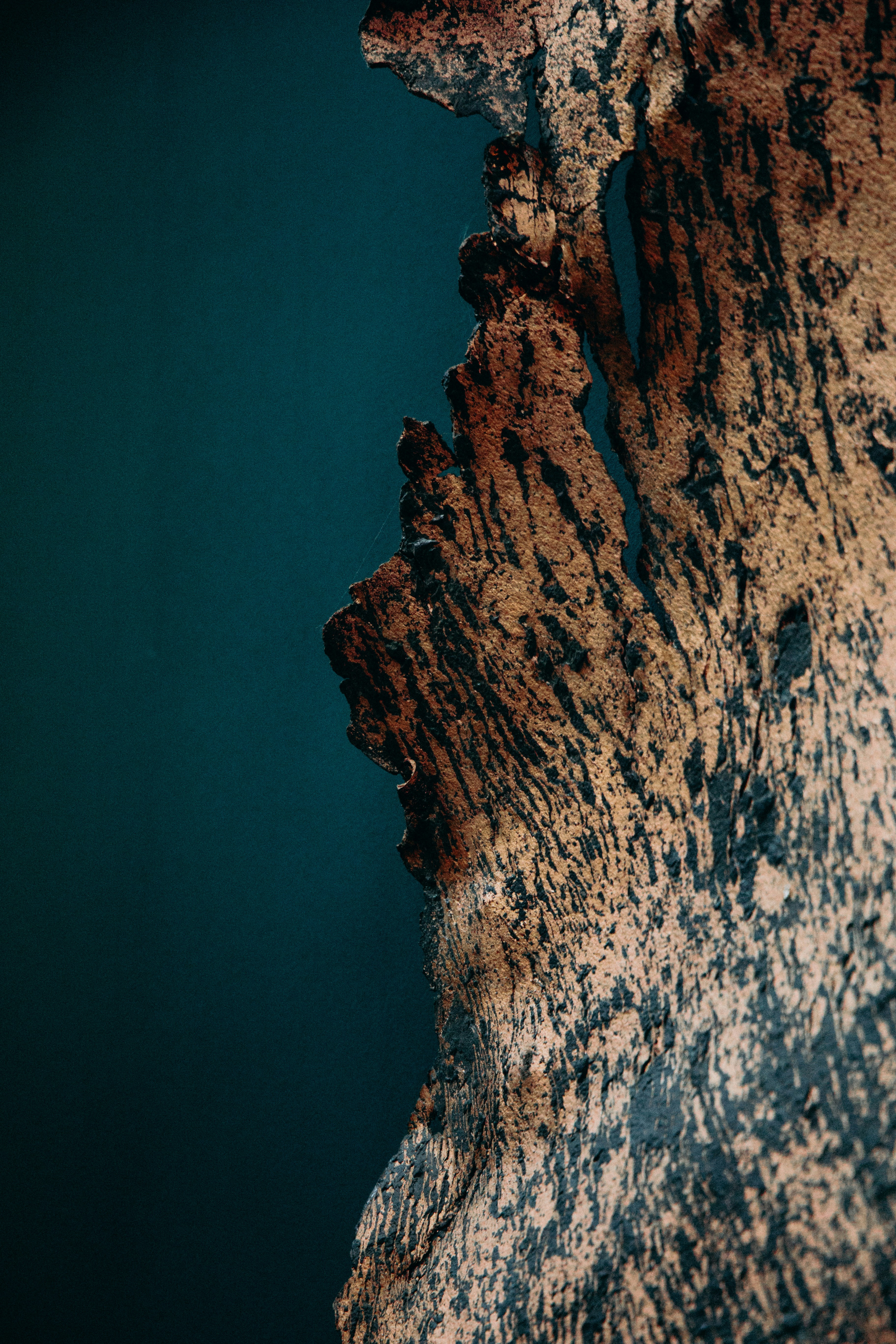 Close Up of Charred Wood