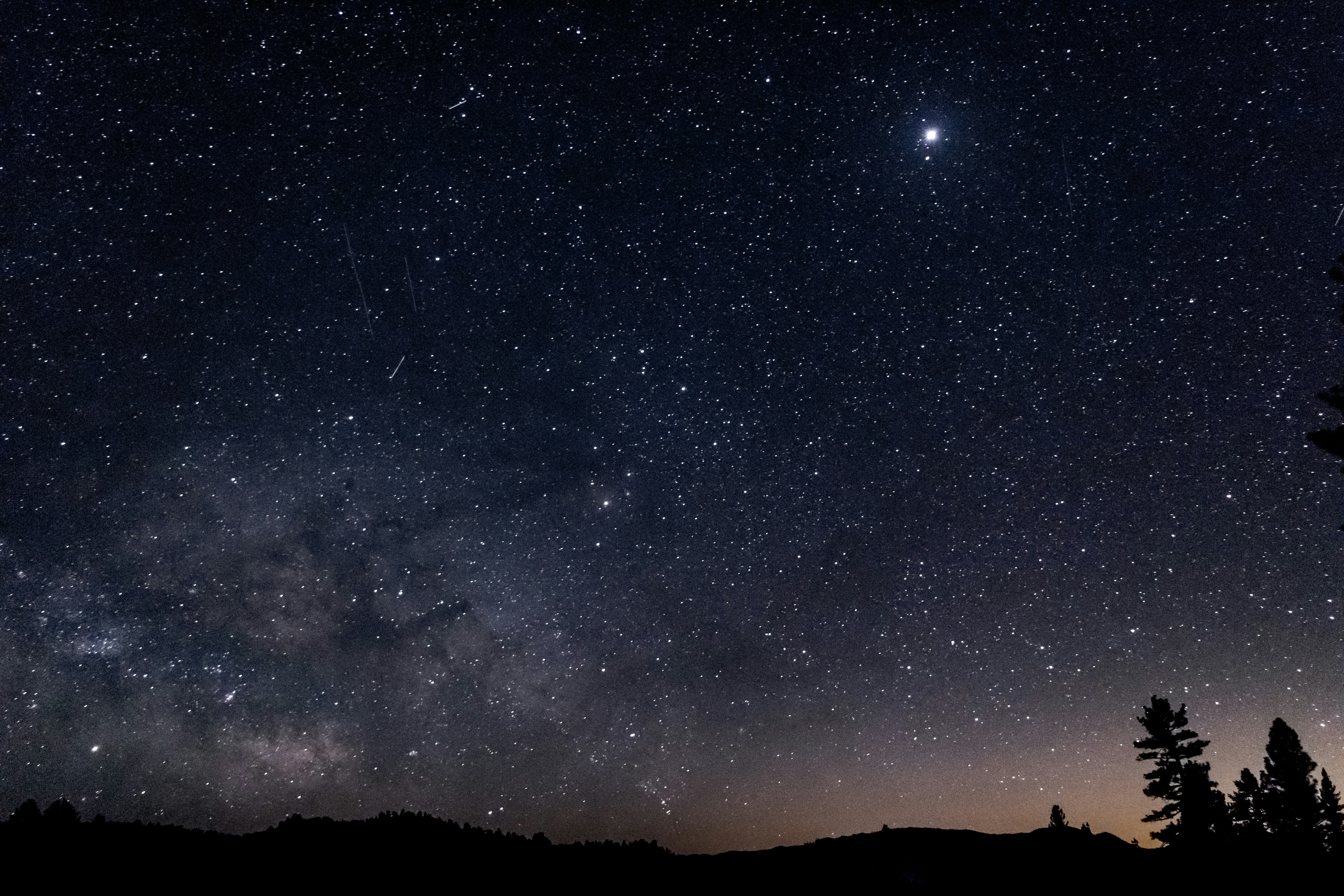 Night Sky with Meteors Over Forest