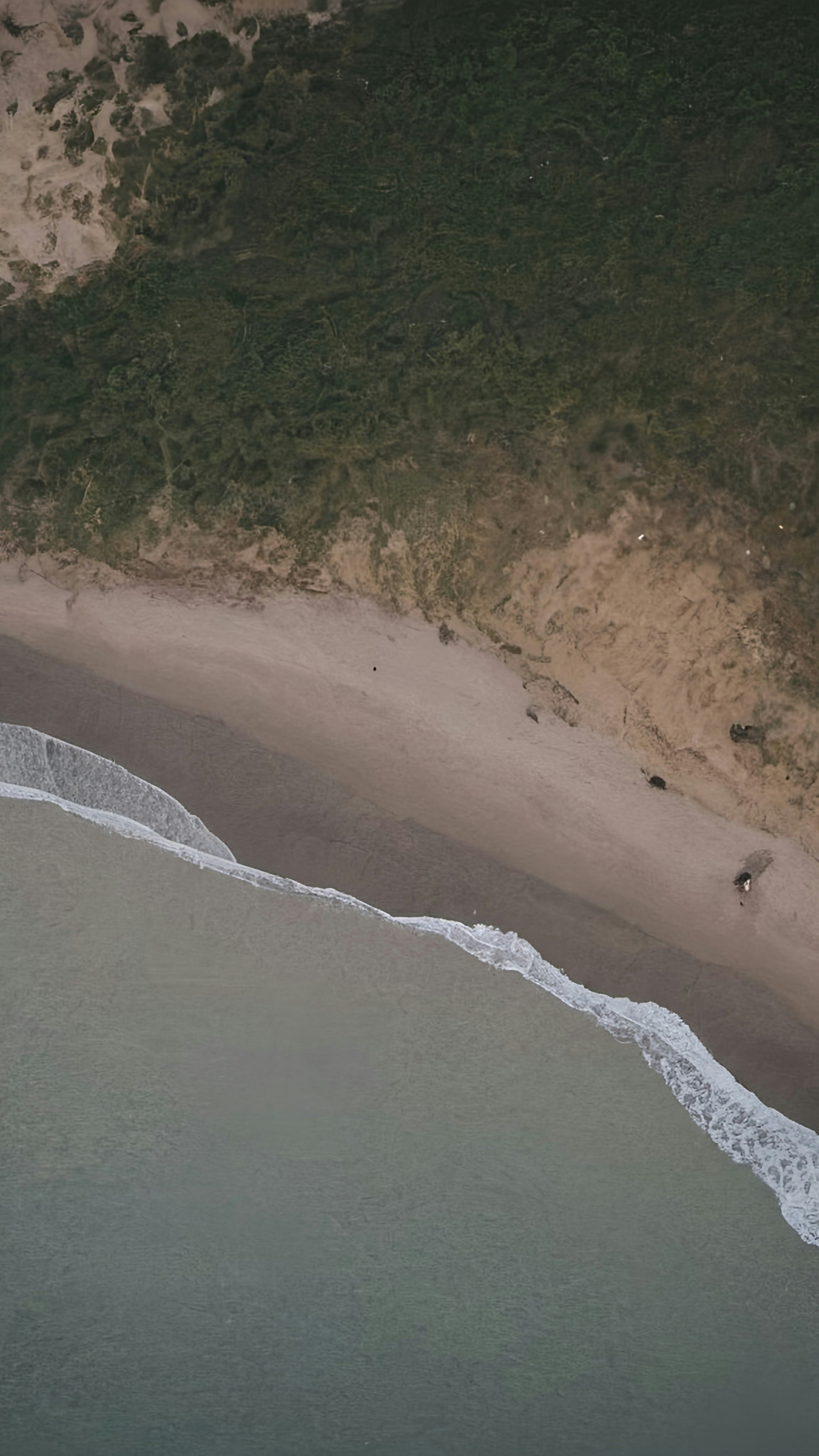 Aerial View of Coastal Beach