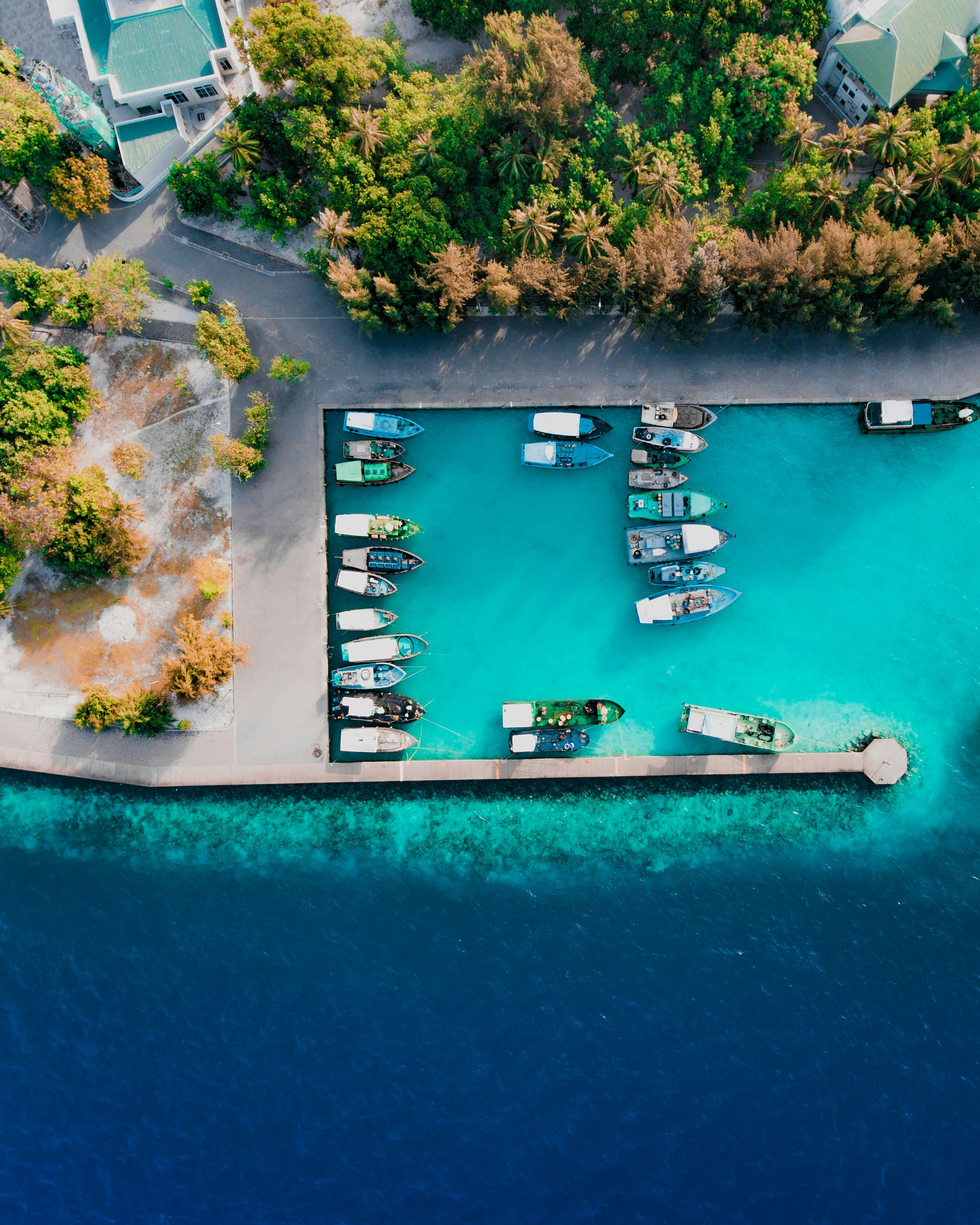 Aerial View of Tropical Marina