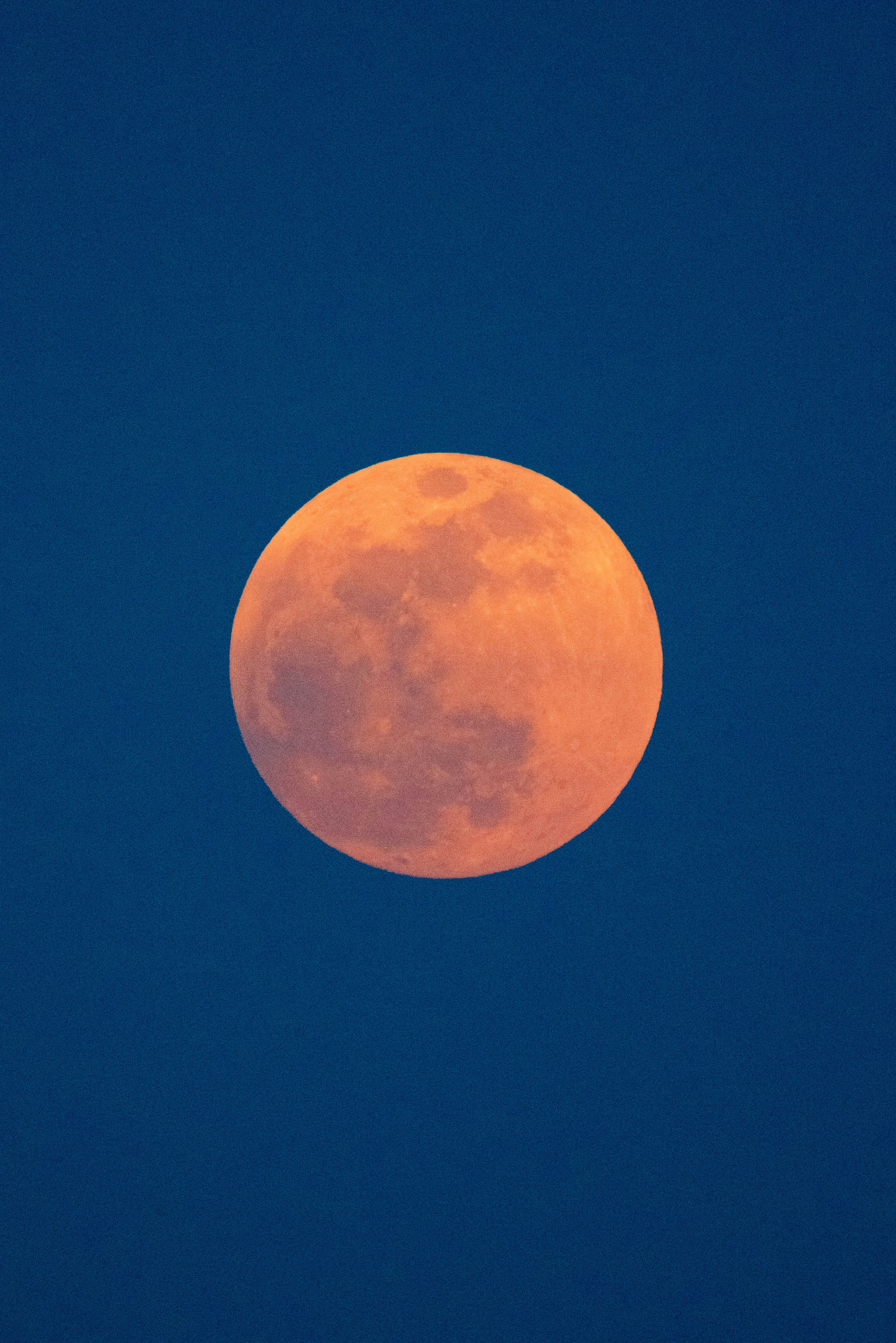 Orange Full Moon in Night Sky