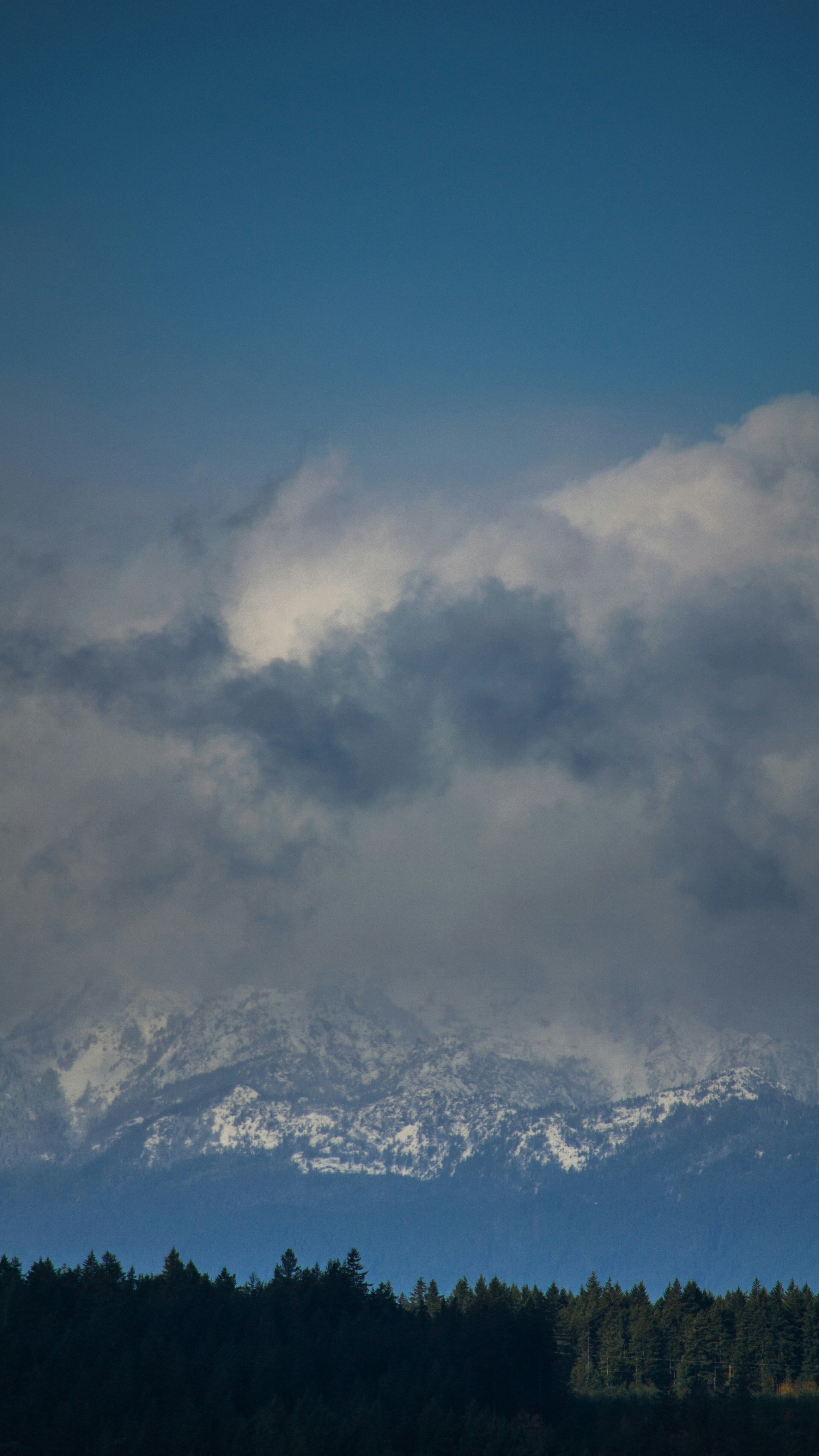 Landscapes
