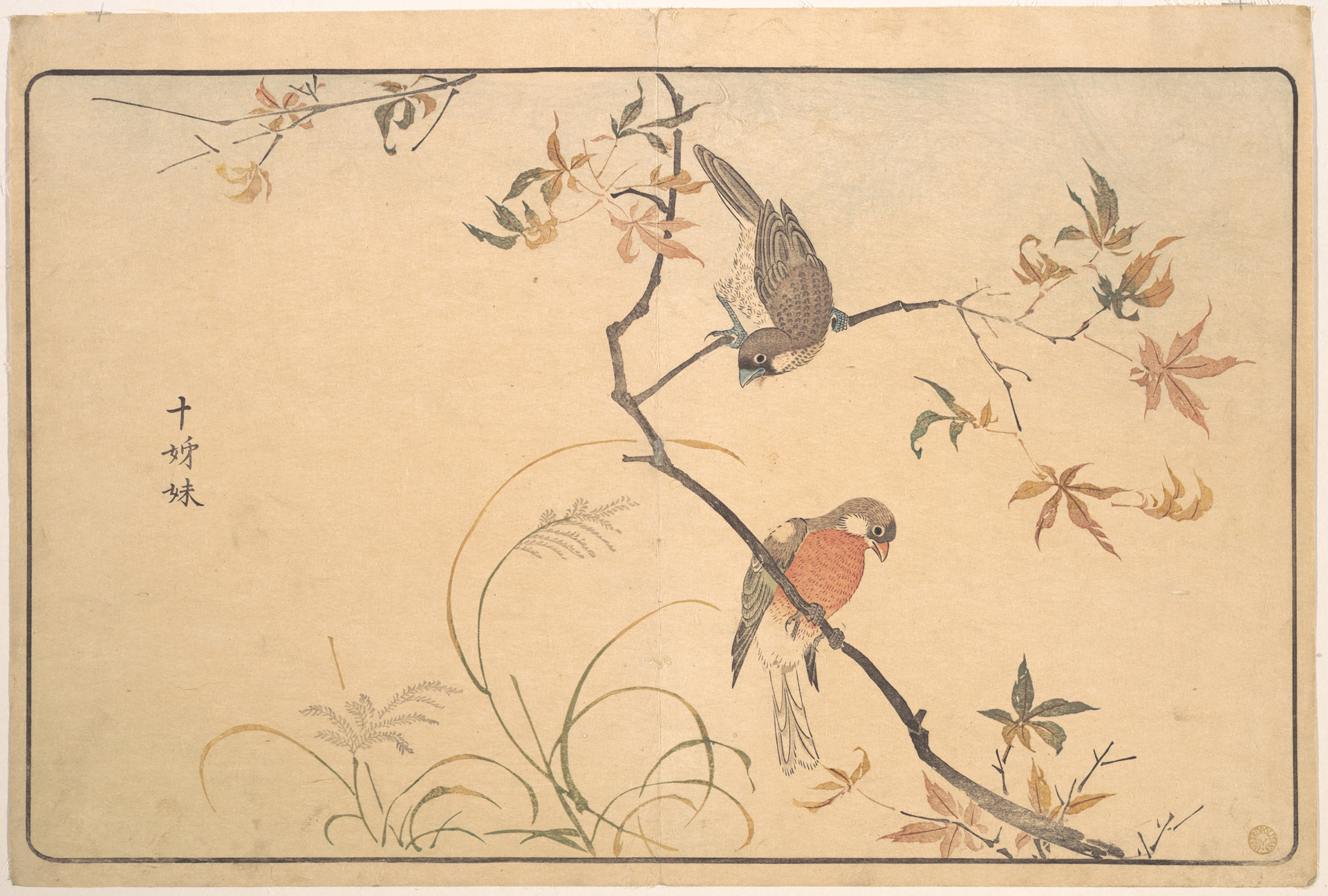 Two Birds on Autumn Maple Branch