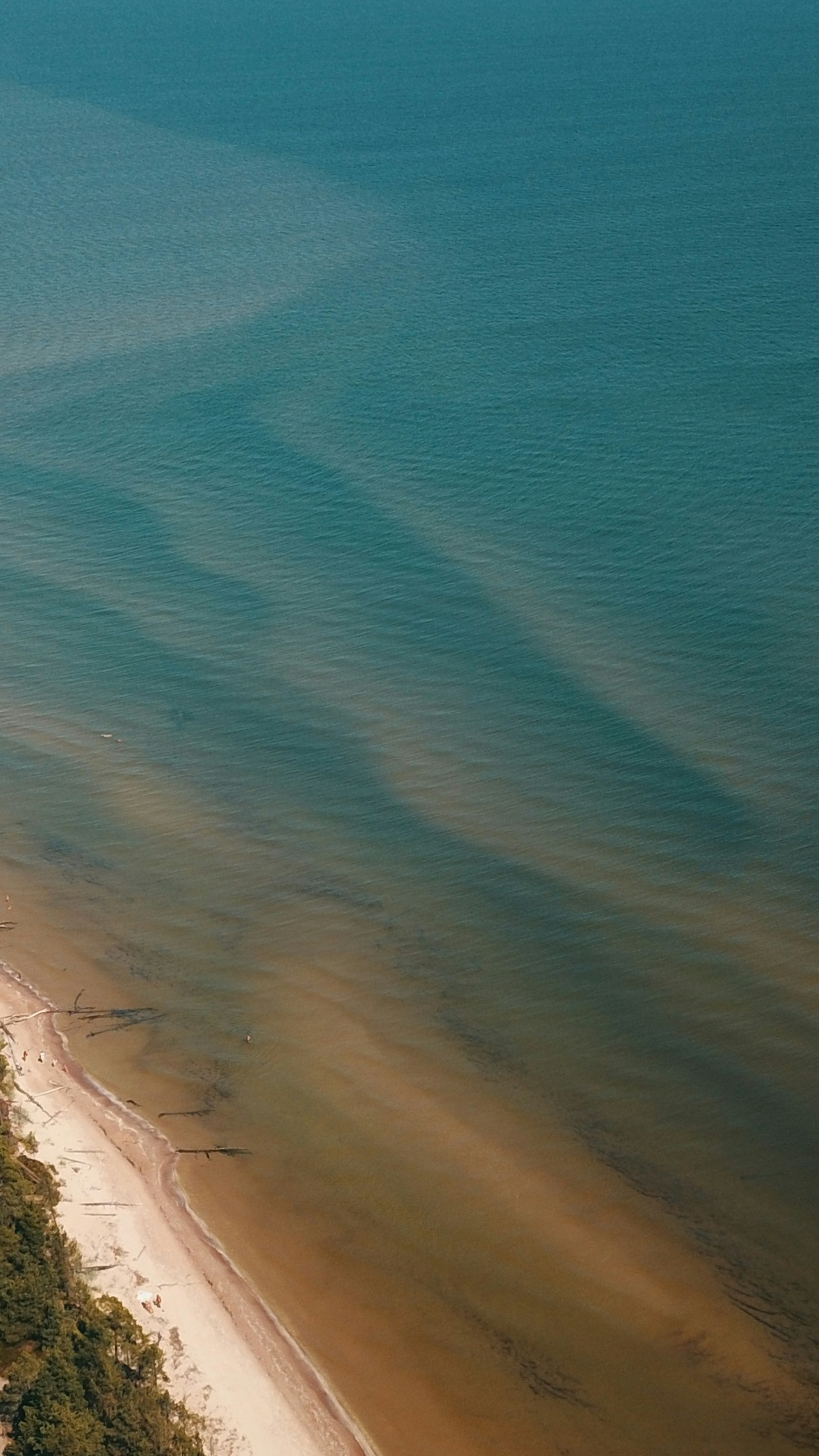 Aerial View of Coastal Beach and Sea