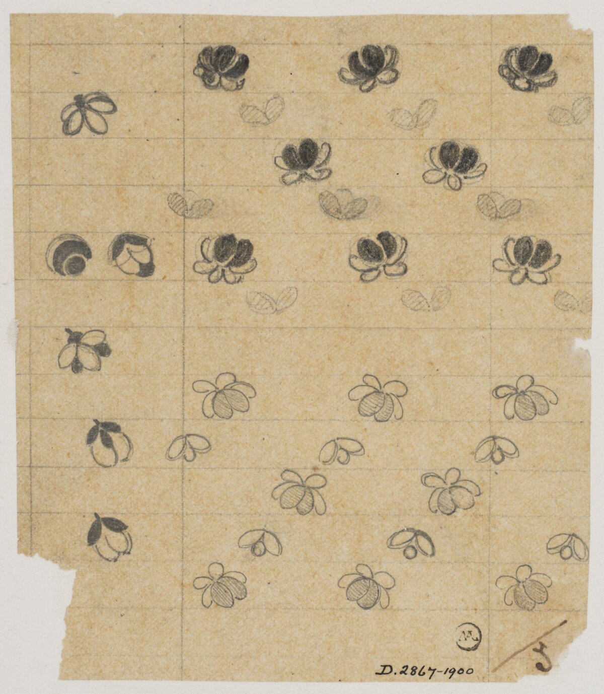Small Flower Textile Pattern Sketch
