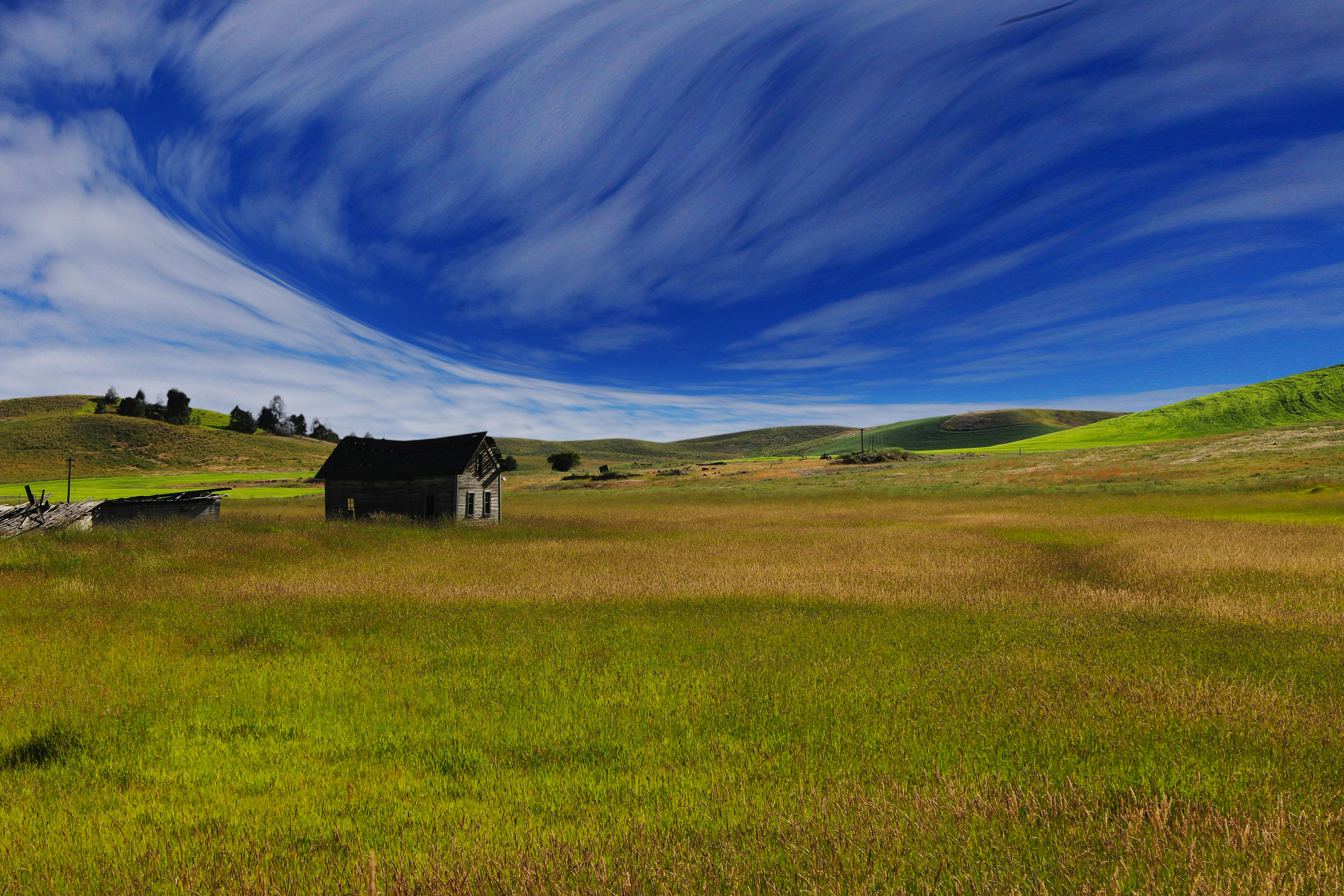 Abandoned House in Grass Hills
