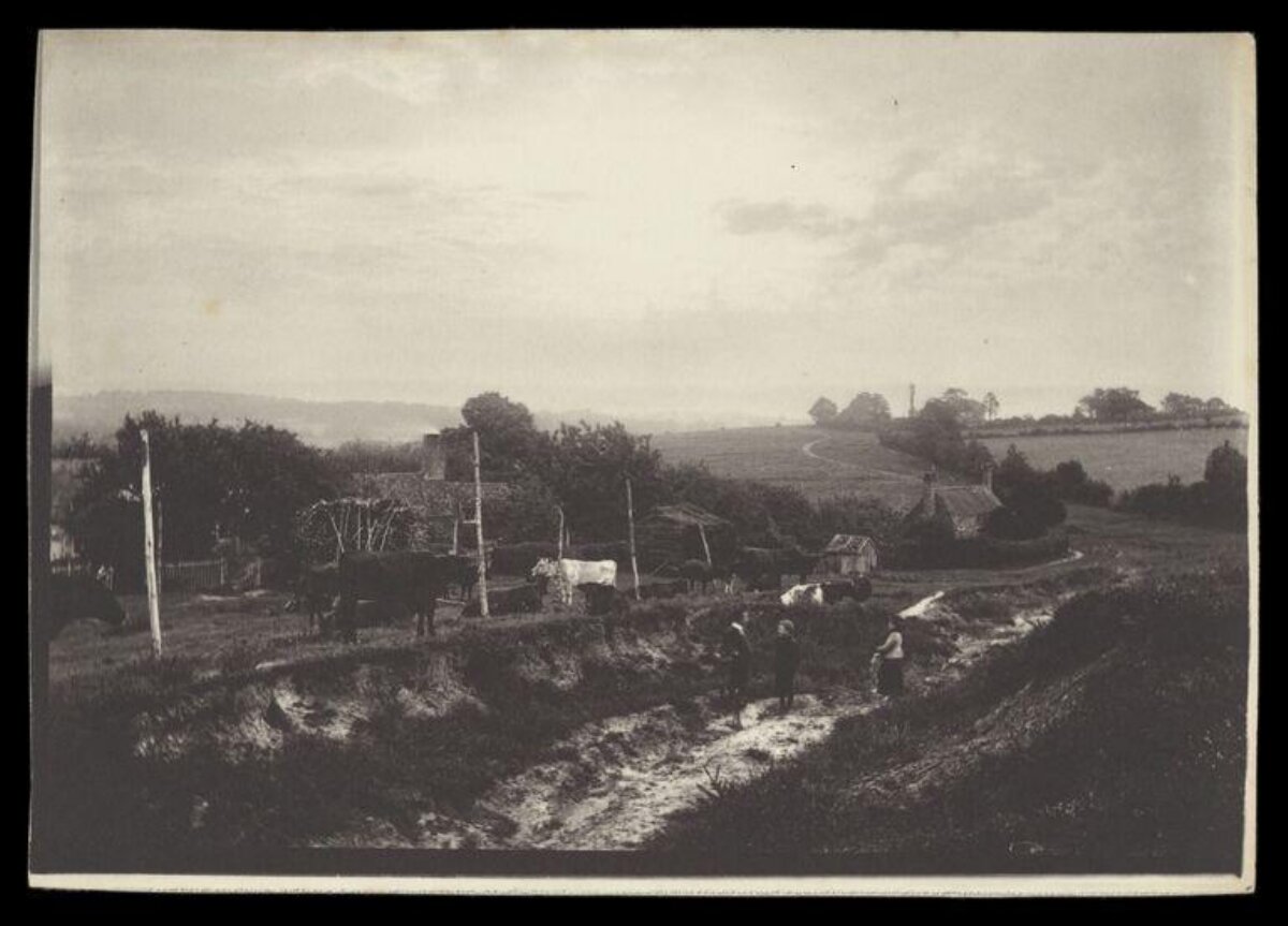 Vintage Countryside Farm Scene