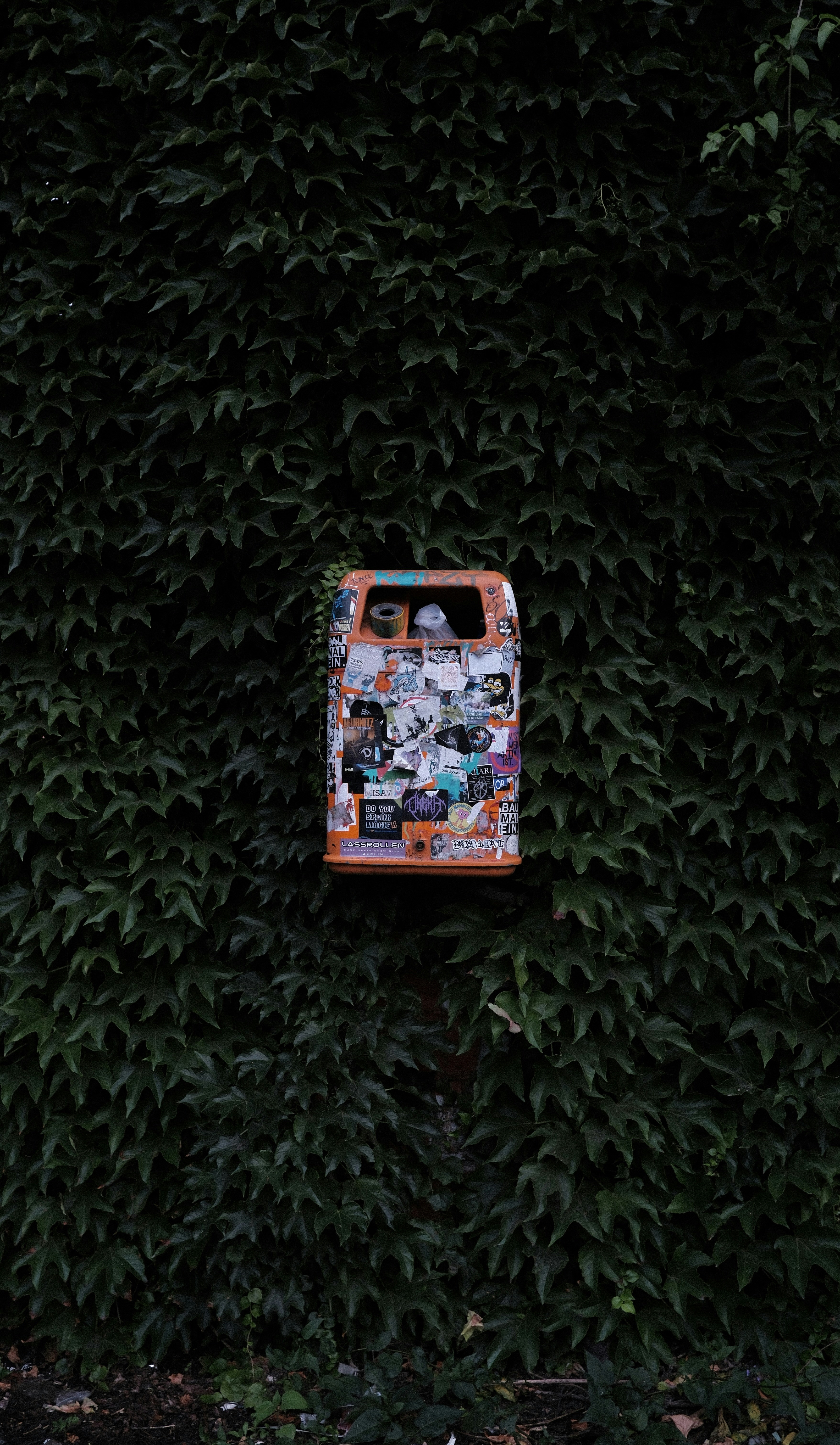 Wallpapers