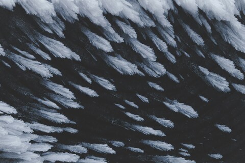 Feathery Frost Crystals