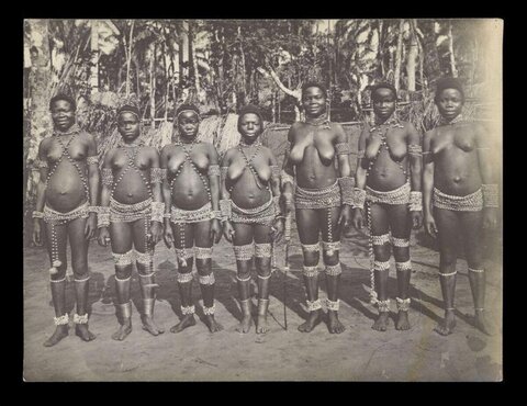 Seven African Indigenous Women in Traditional Adornment
