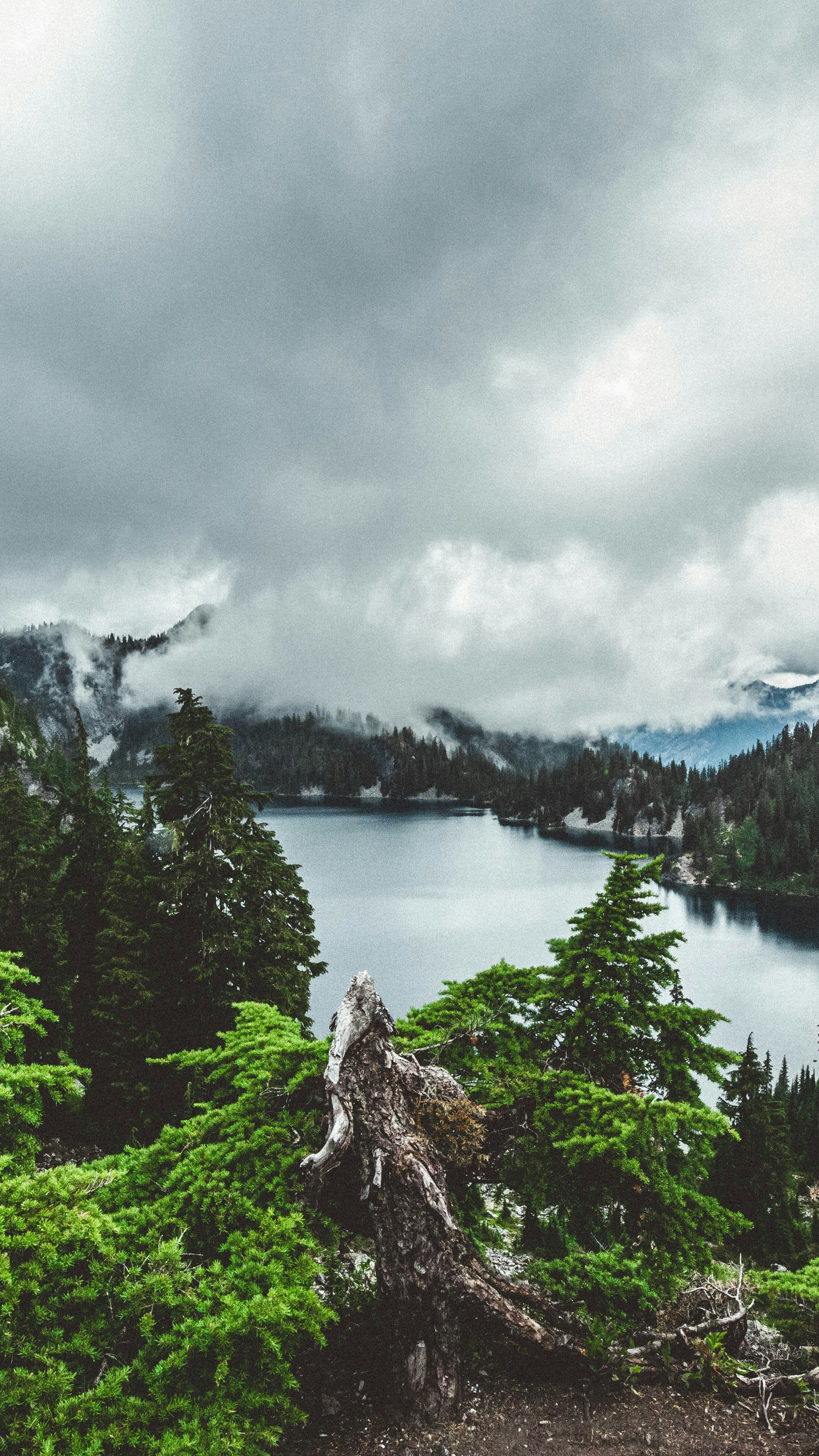 Wallpapers