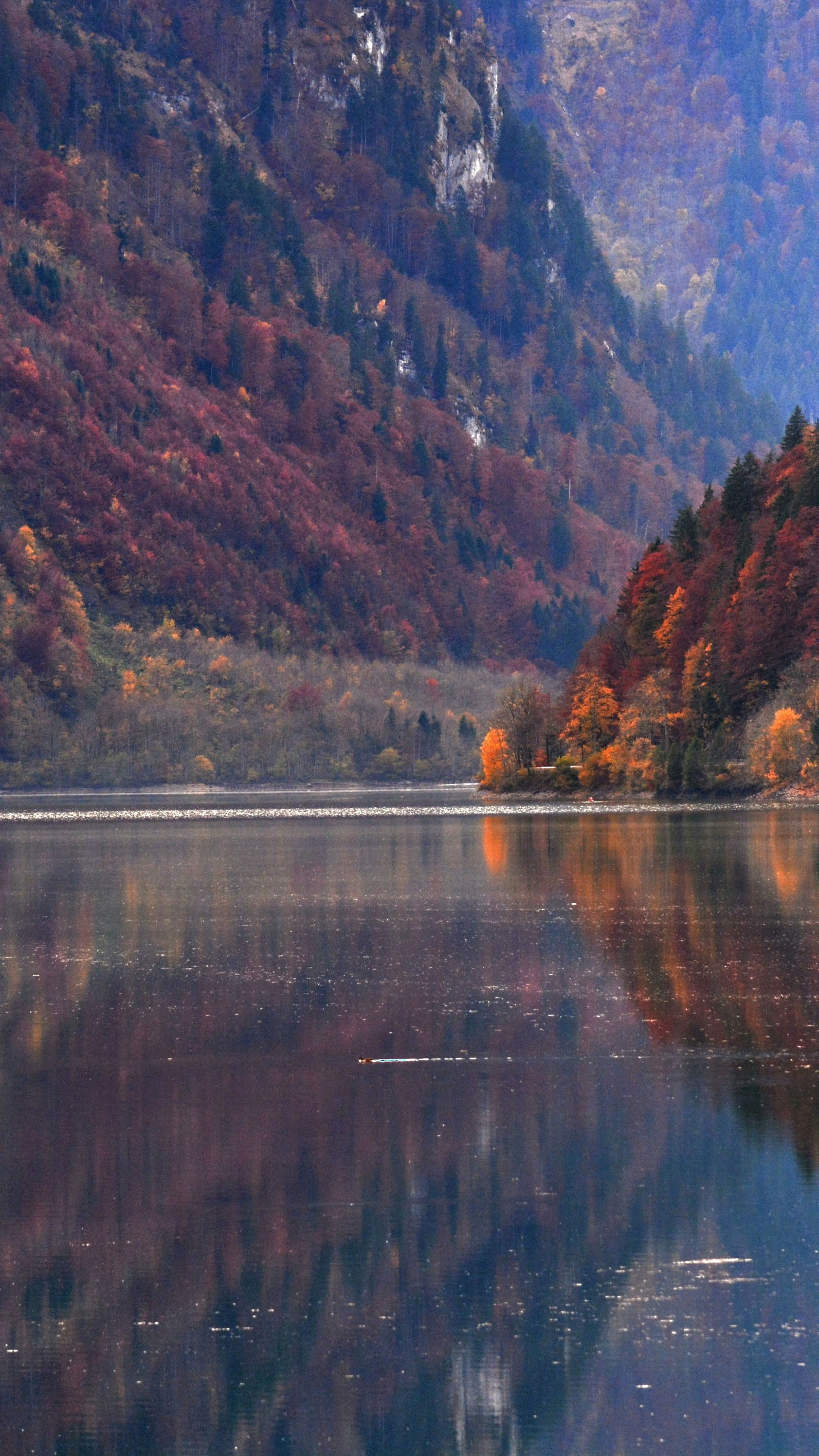 Landscapes