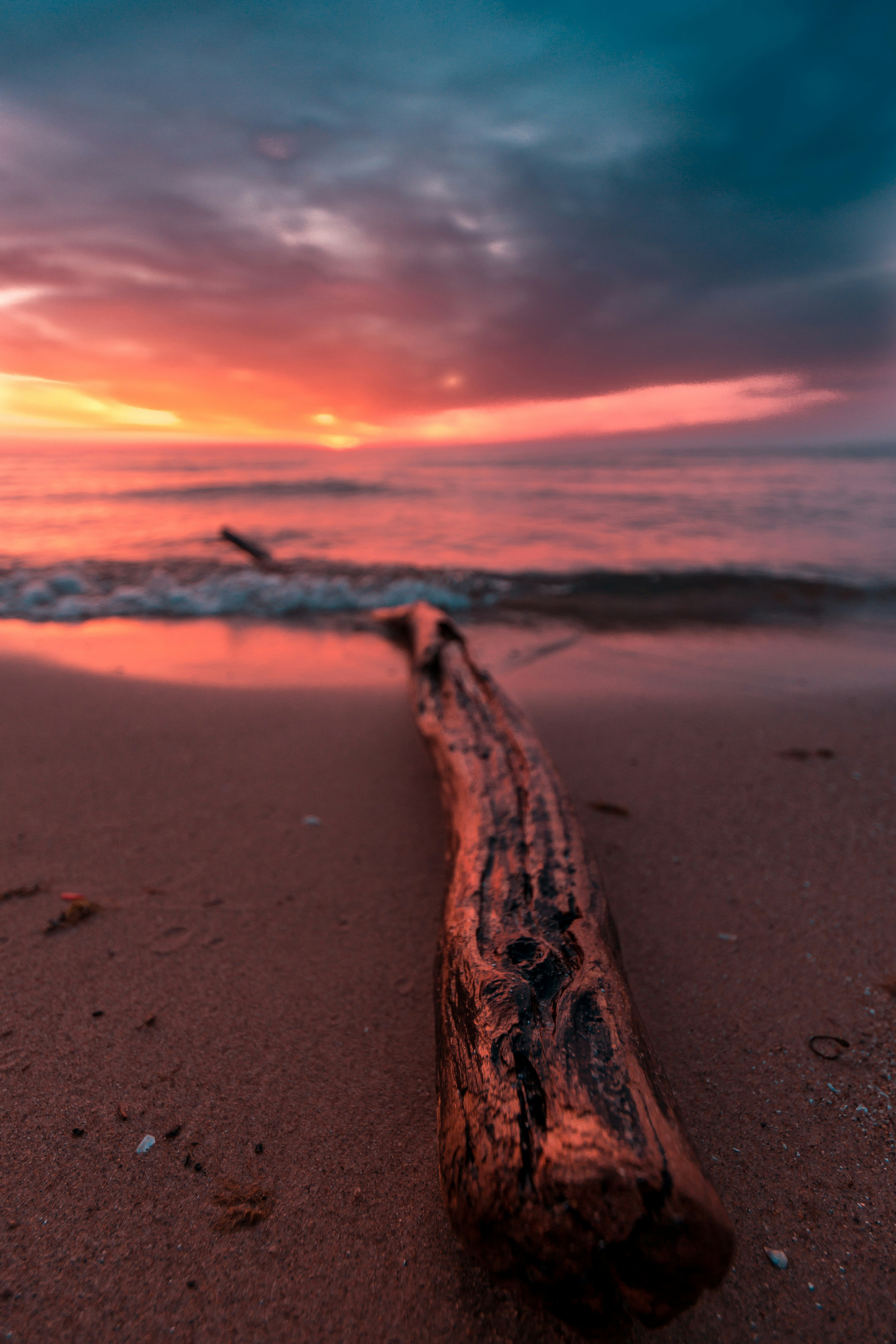 Driftwood on Beach at Sunset
