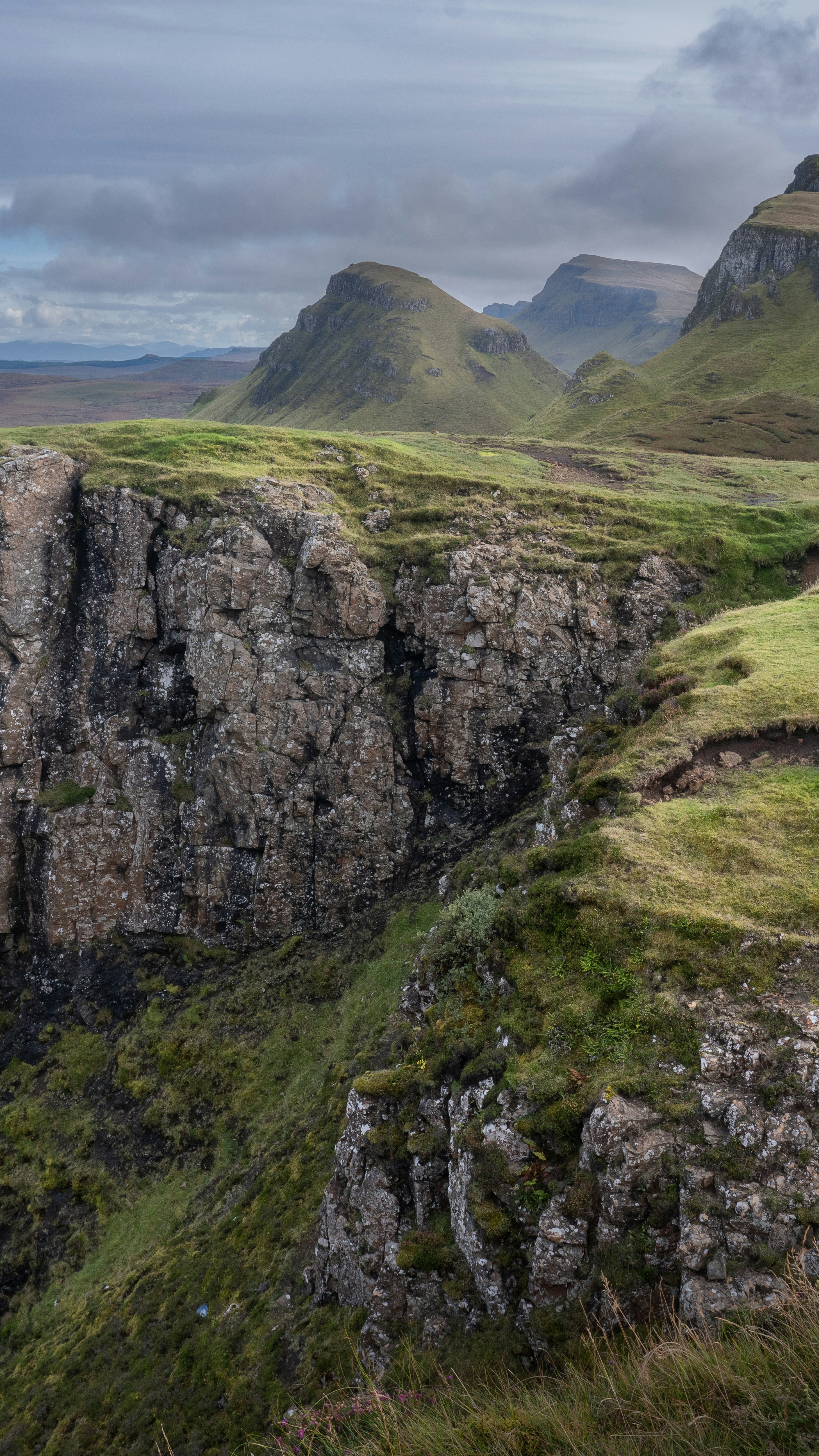 Image 1575594 — Nature