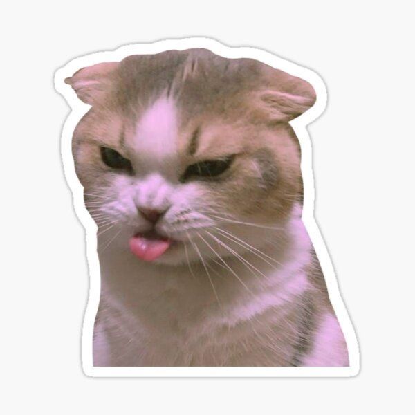 Annoyed Meme Cat Sticker