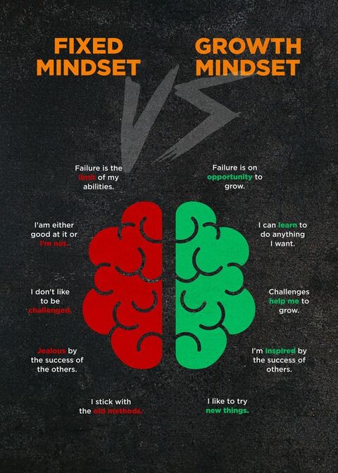 Fixed vs Growth Mindset Comparison
