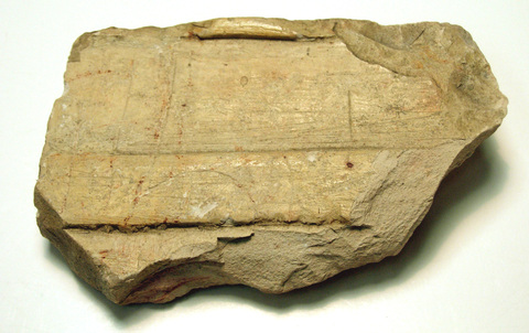Fragment of Carved Ancient Stone