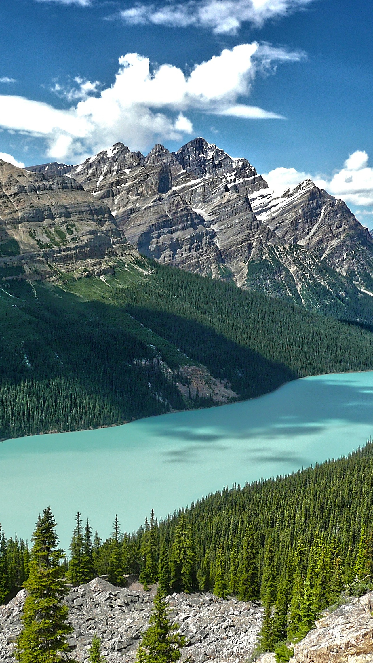 Wallpapers