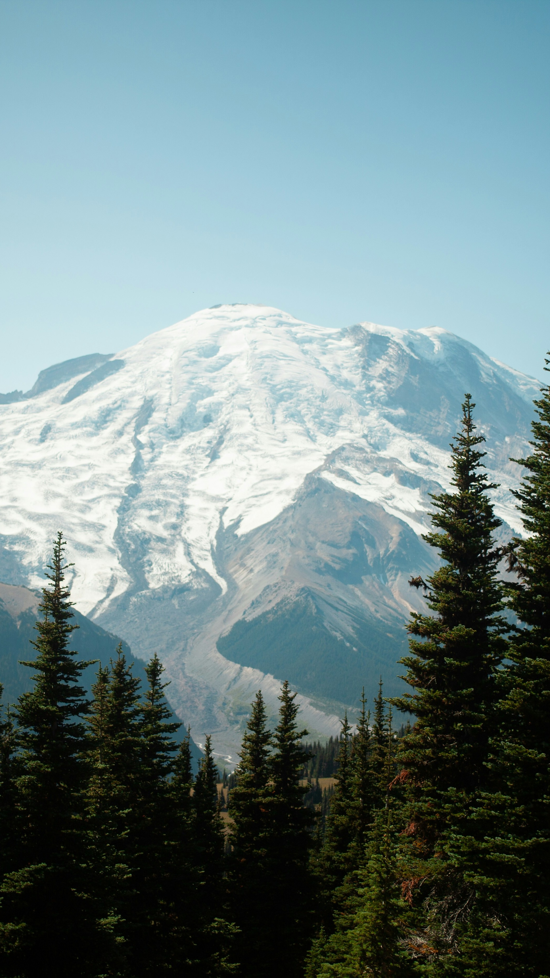 Snow-Capped Mountain Behind Evergreen Forest