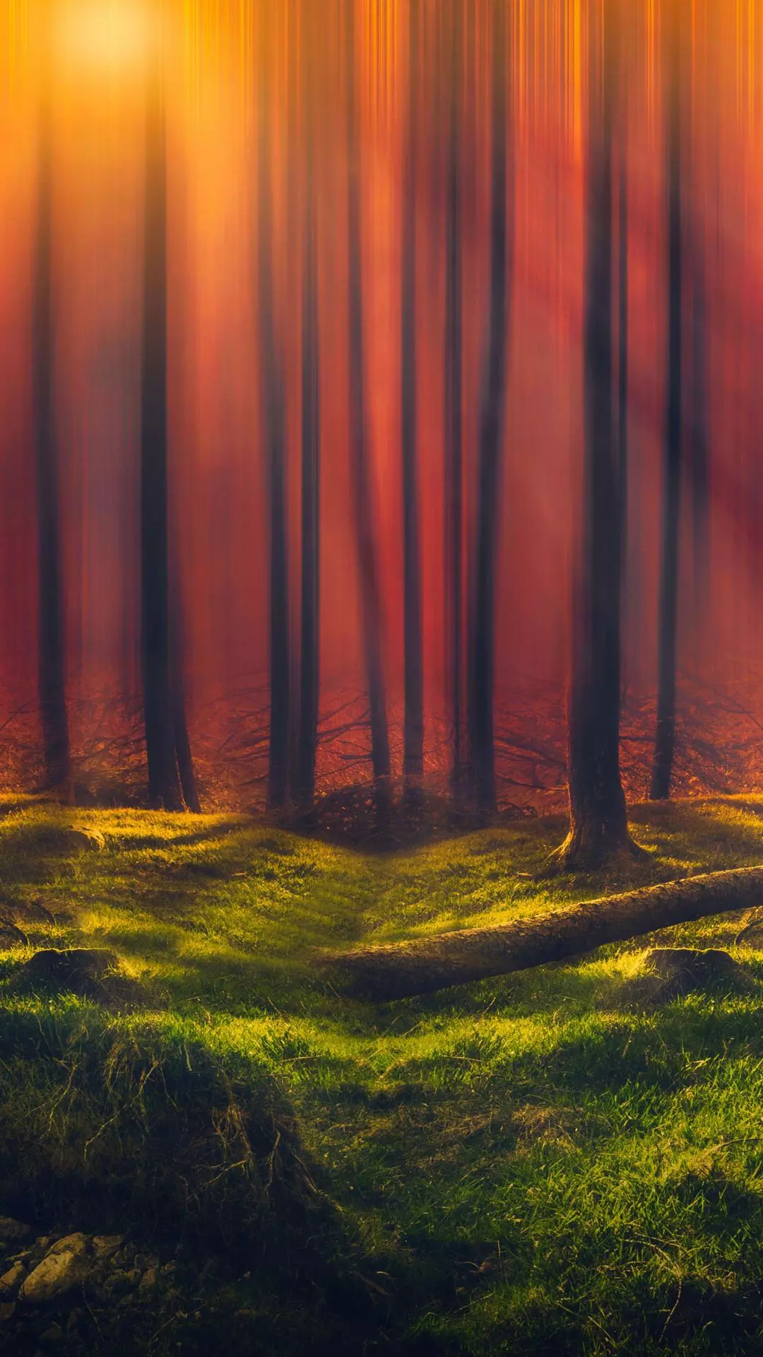 Wallpapers