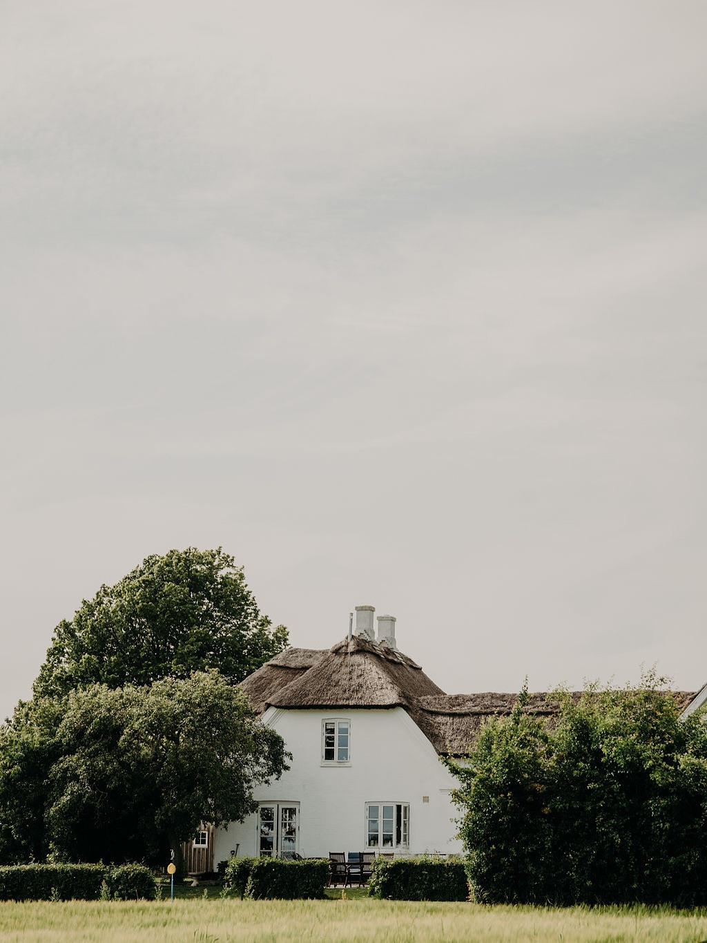Thatched Cottage By Grassy Field