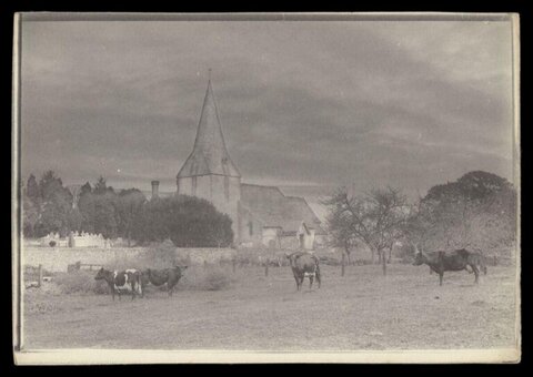 Cows Grazing by Village Church