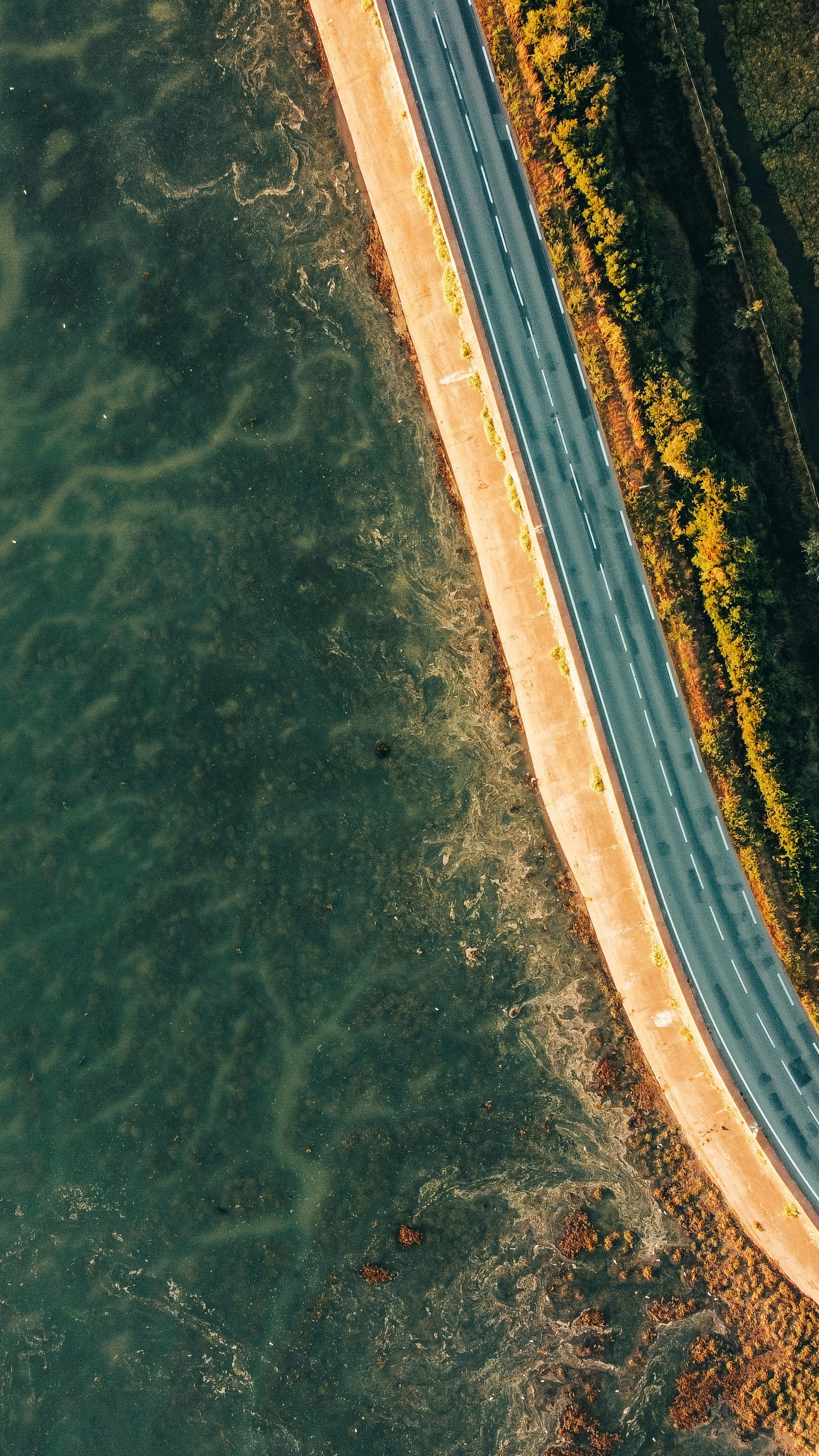Wallpapers
