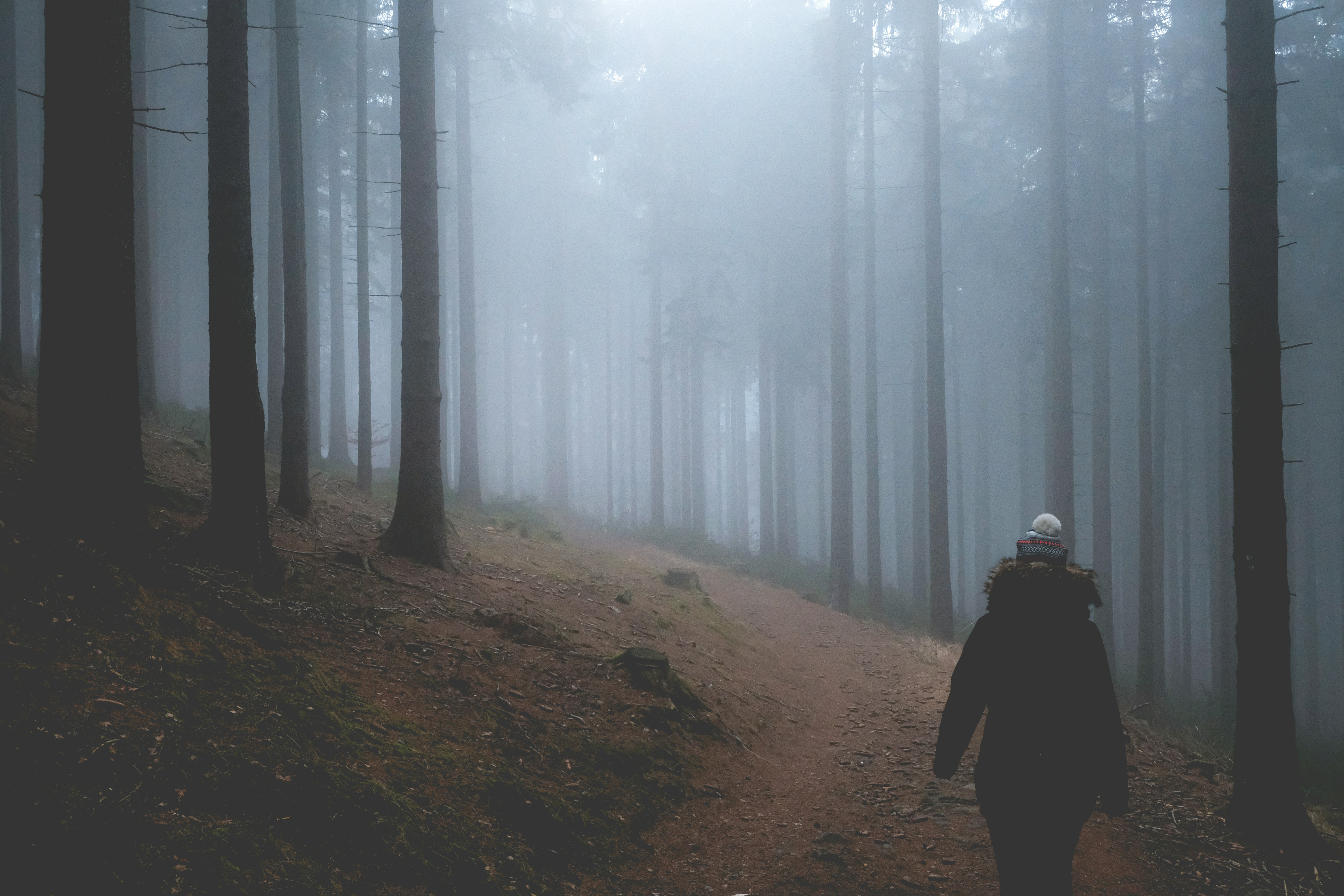 Hiker Walking in Foggy Forest