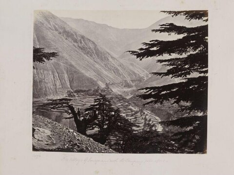 Vintage Mountain Valley Landscape