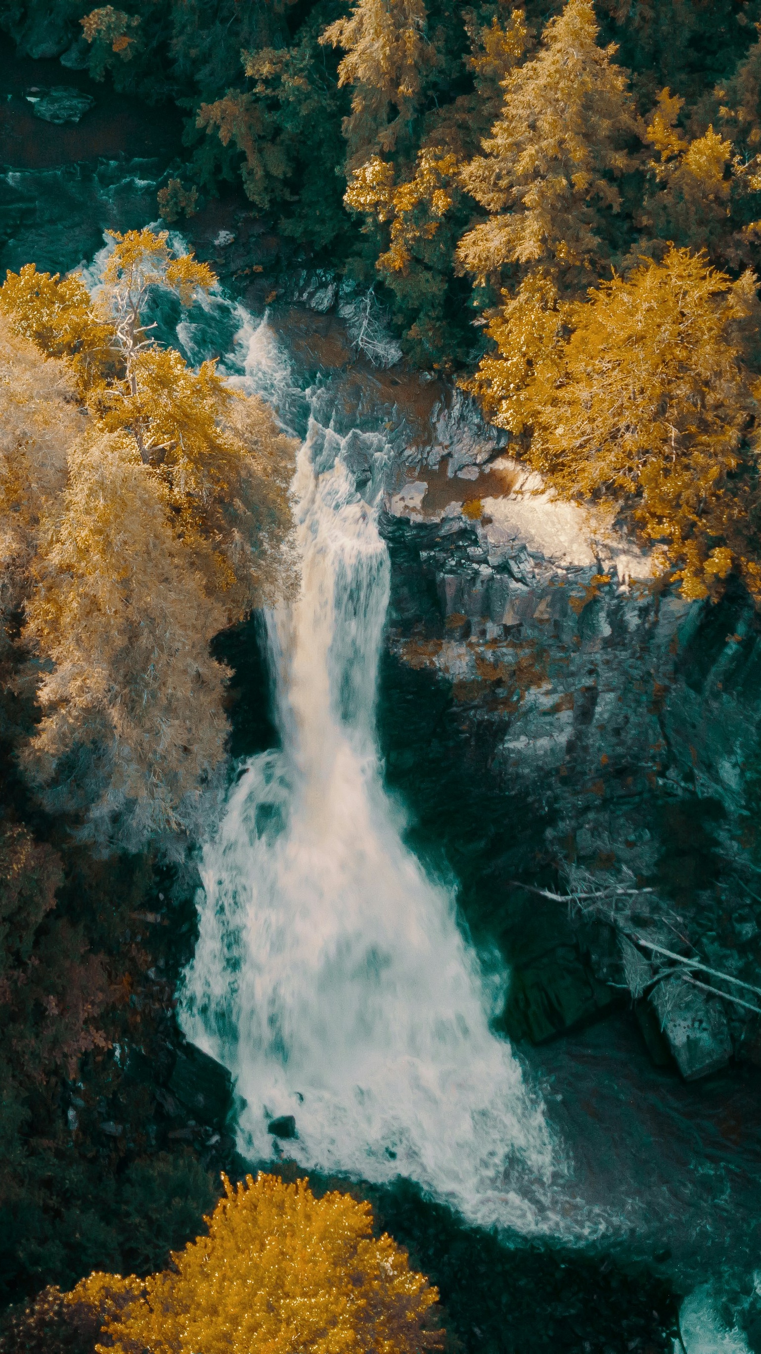 Wallpapers