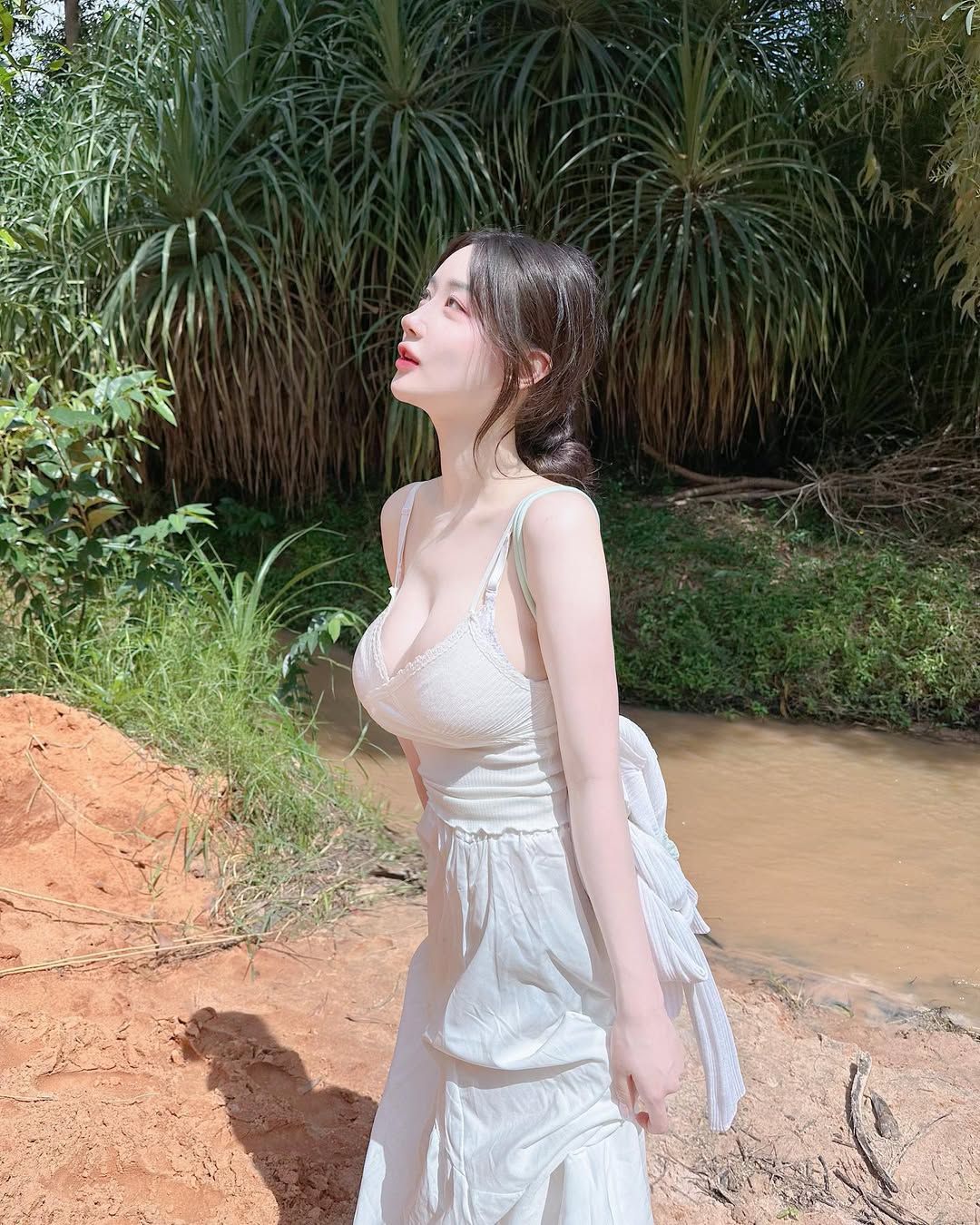 Forest & Flora
