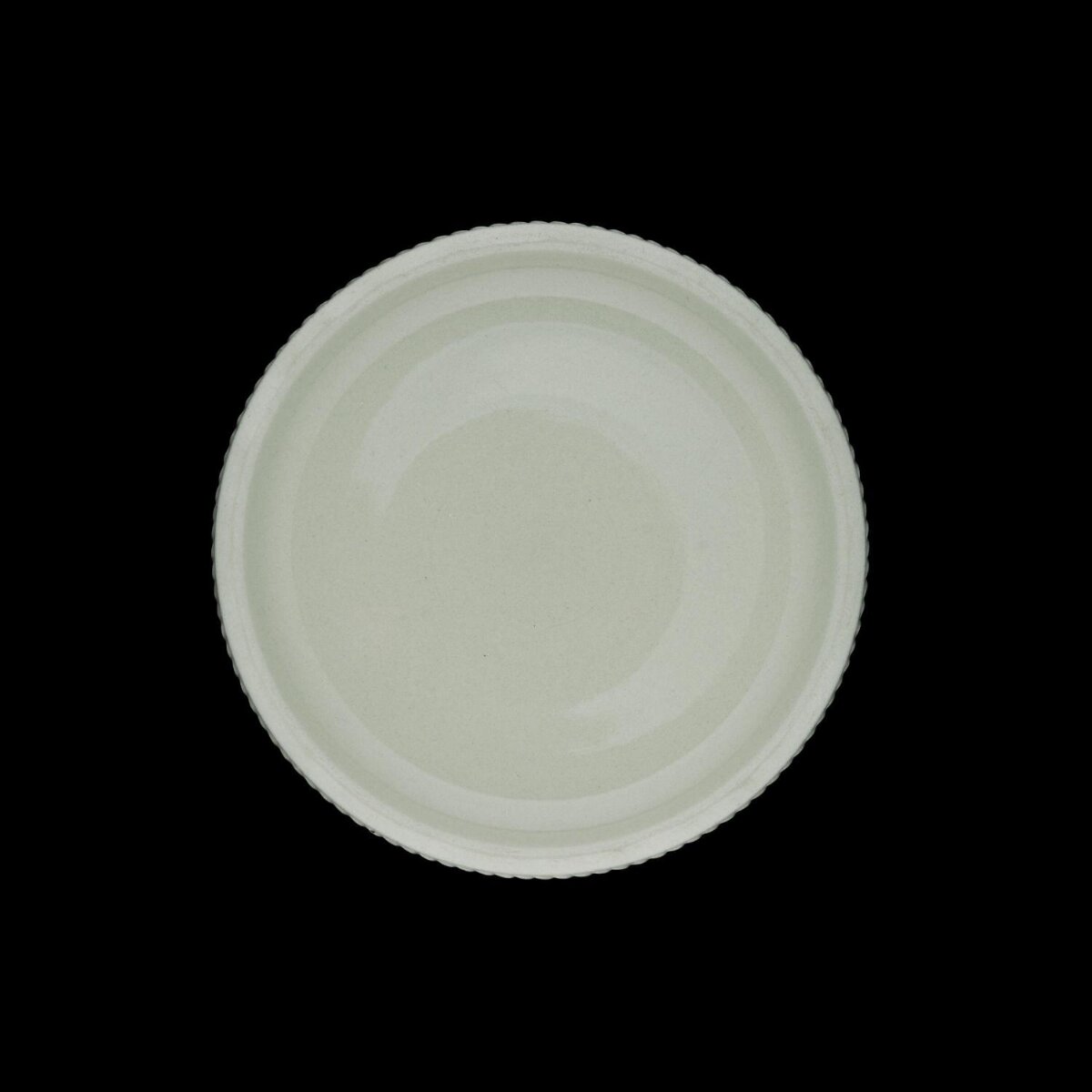 White Round Disposable Paper Plate — Black Backgrounds