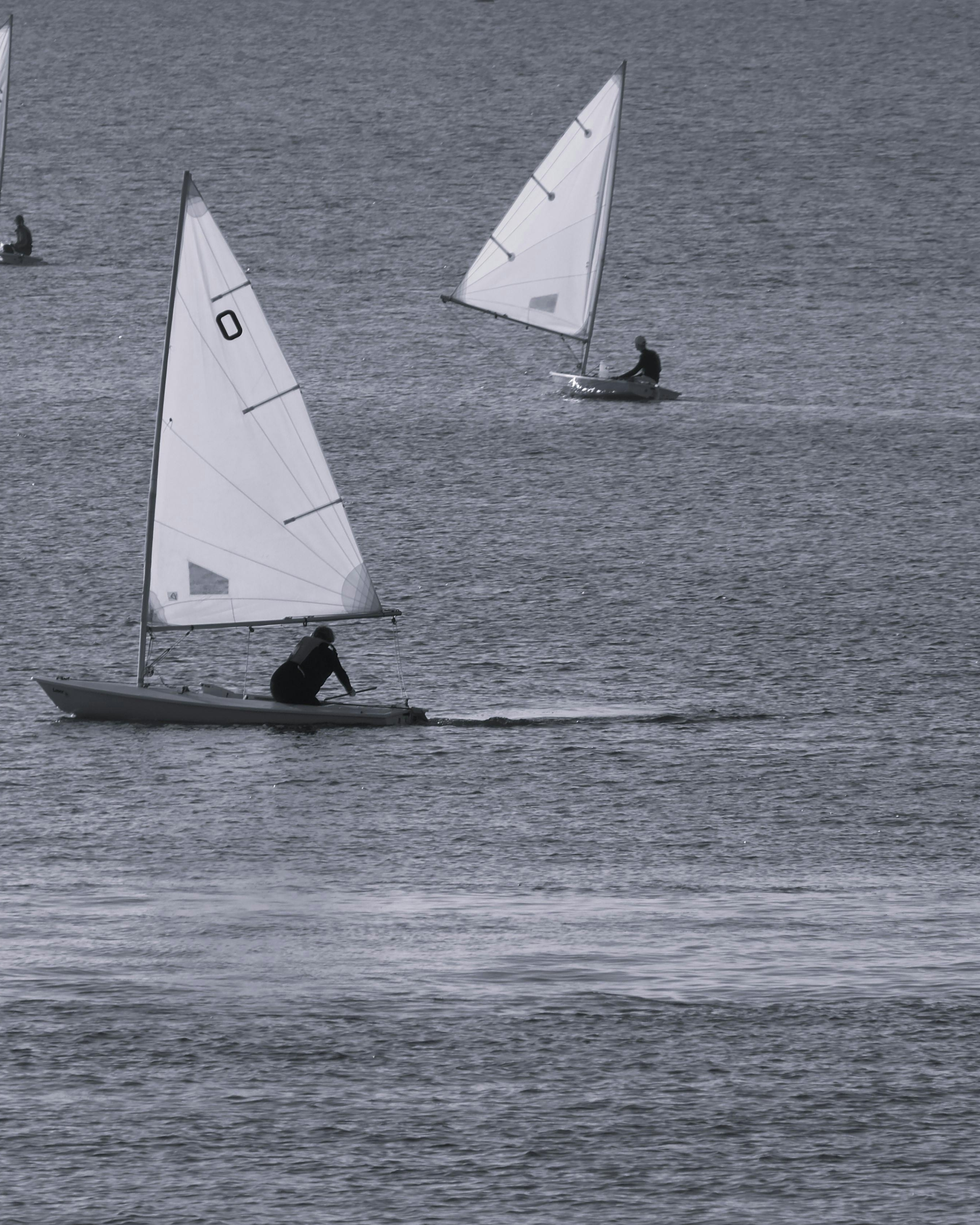 Small Sailboats Racing on Open Water