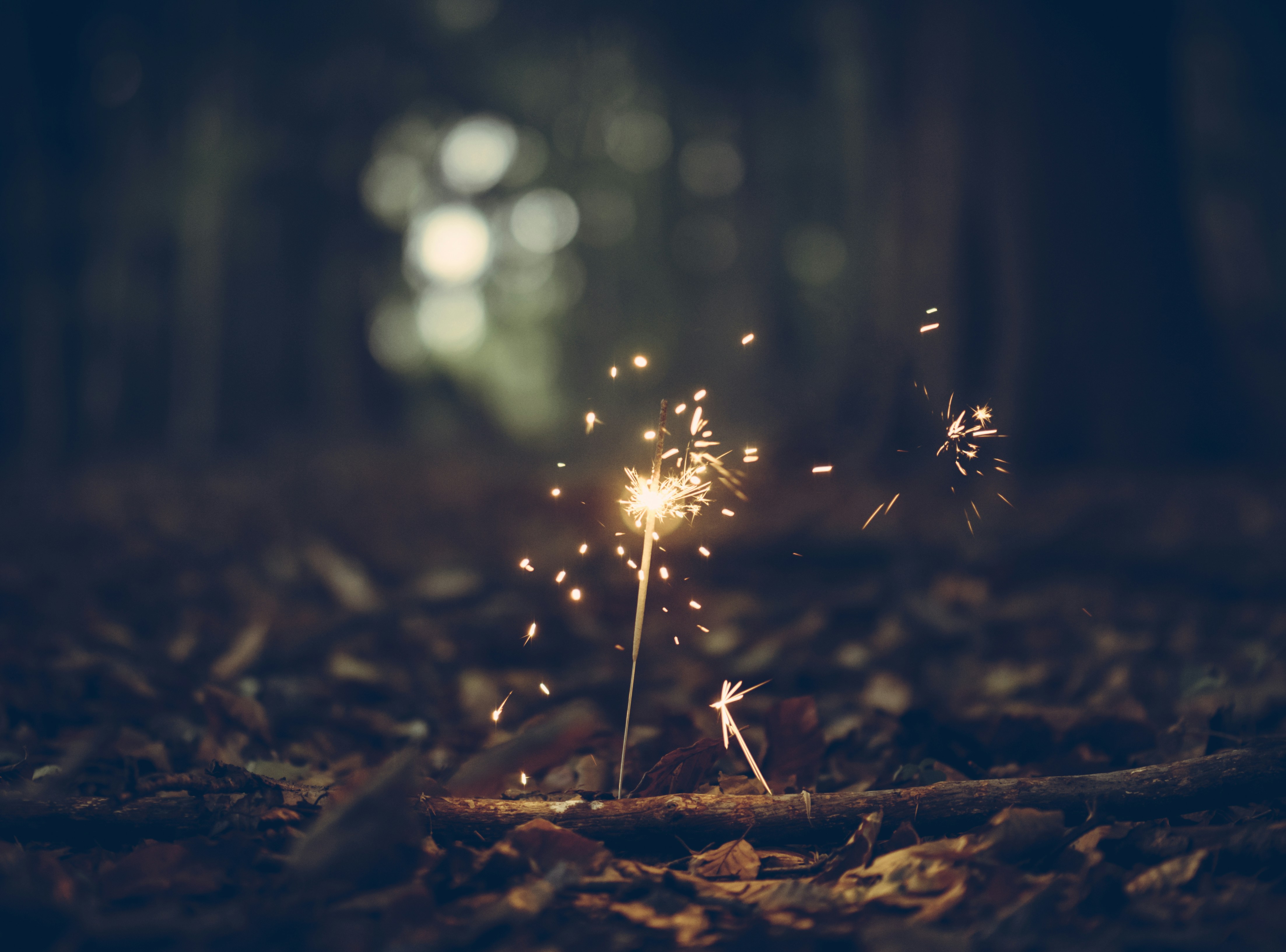 Burning Sparklers in Night Forest