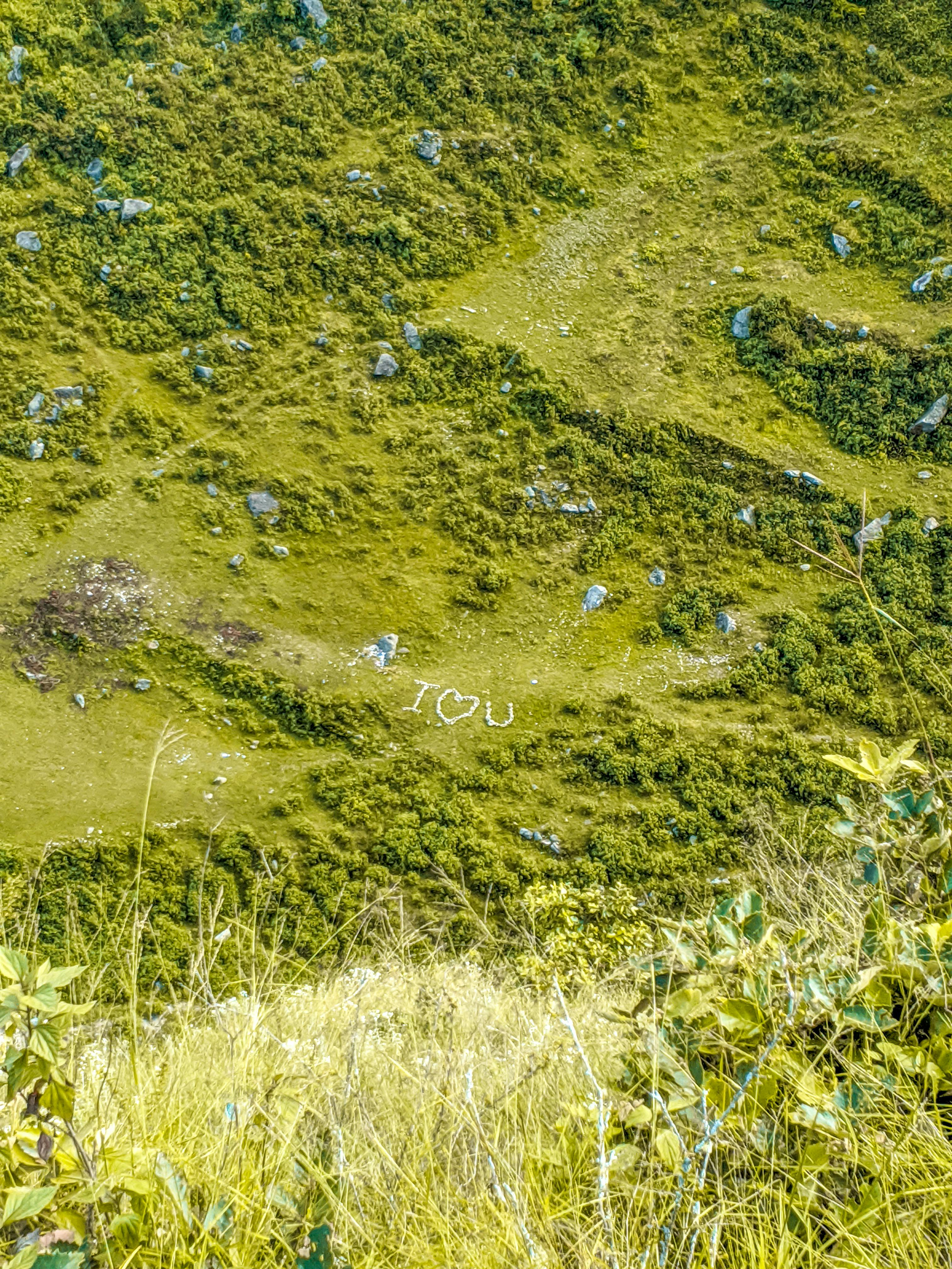 I Love You on Grassy Hillside