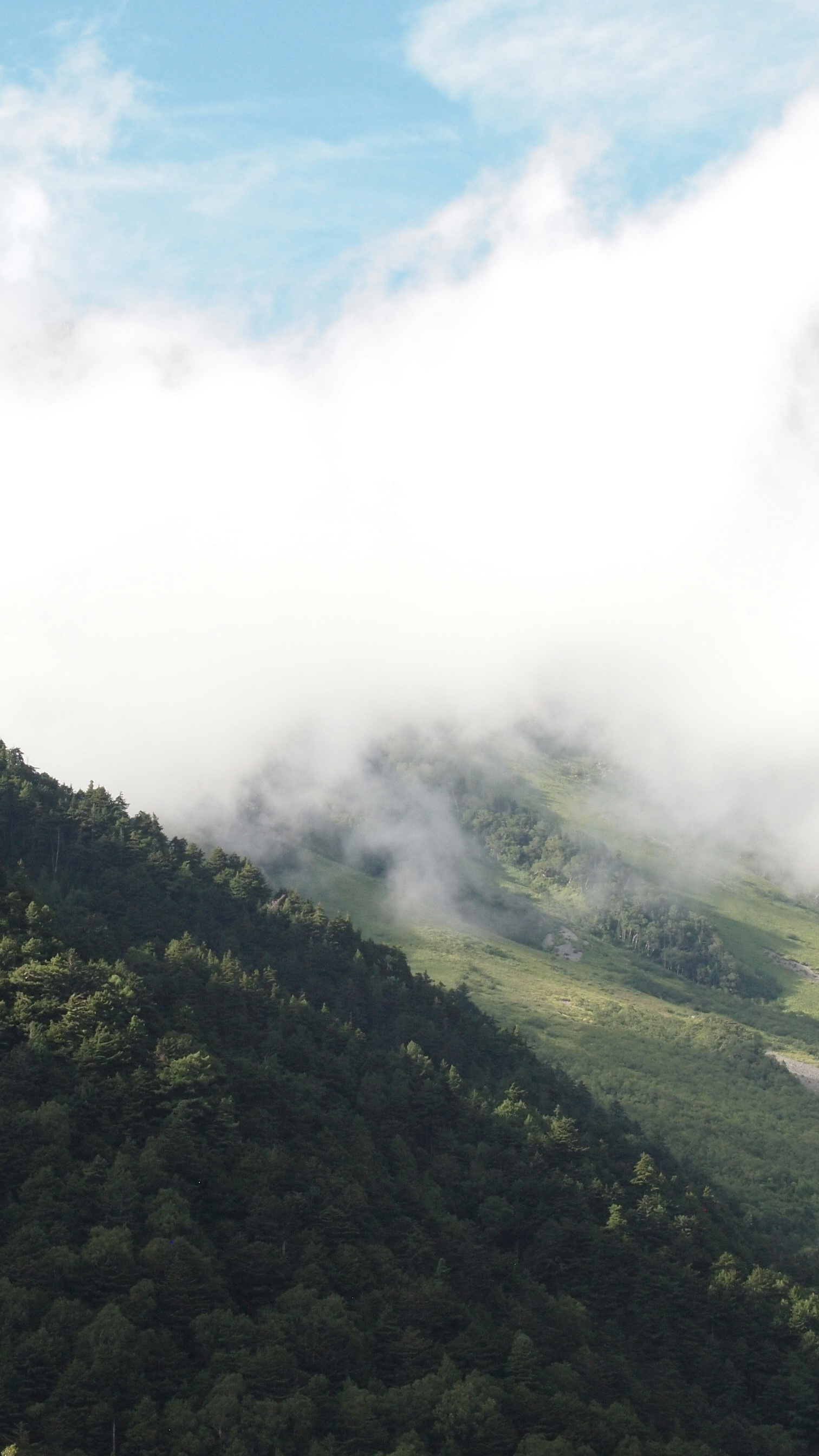 Landscapes