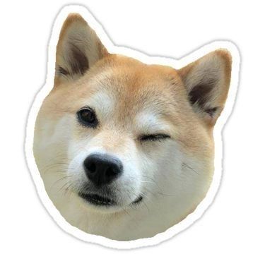 Winking Shiba Inu Sticker