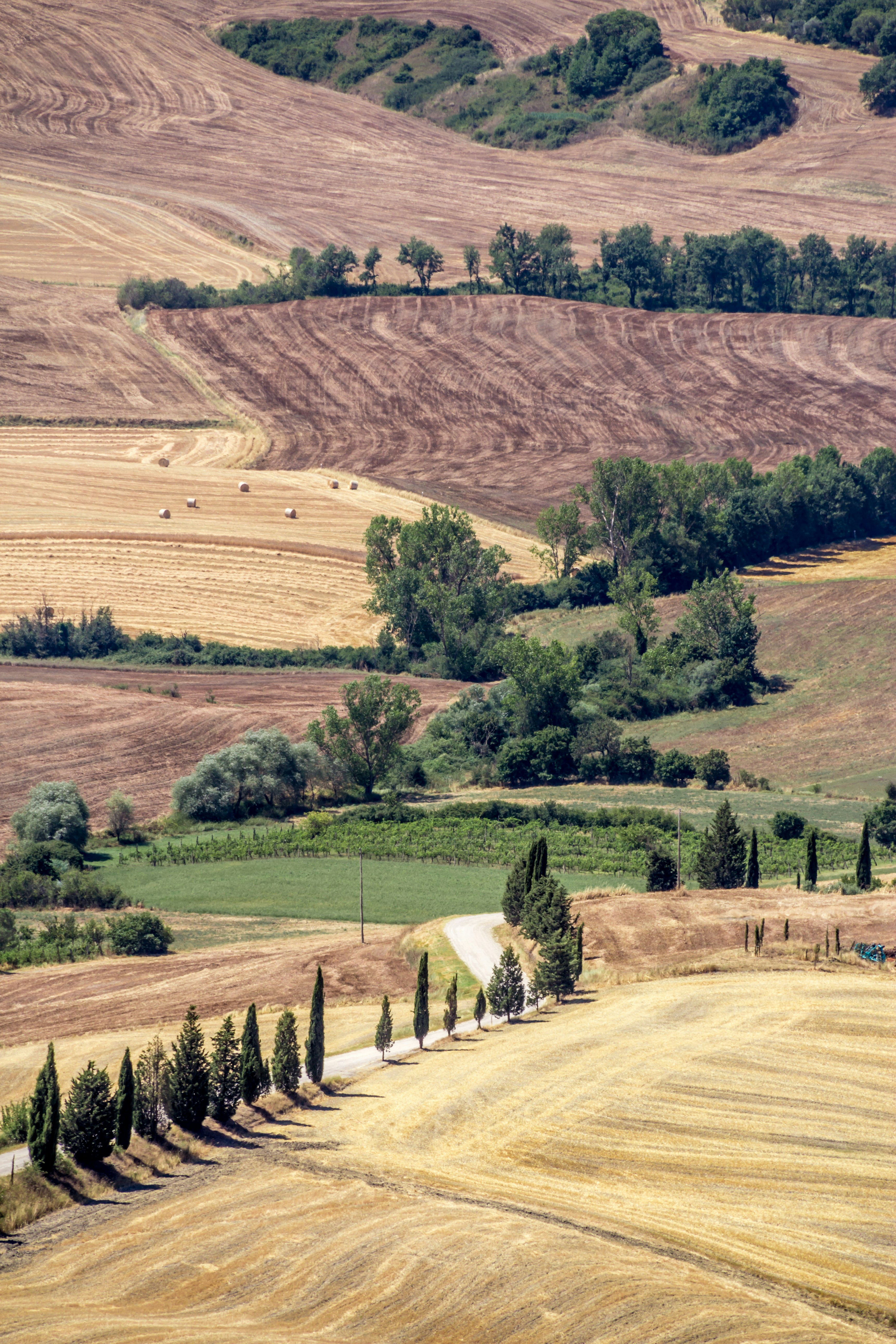 Tuscan Rolling Countryside Landscape