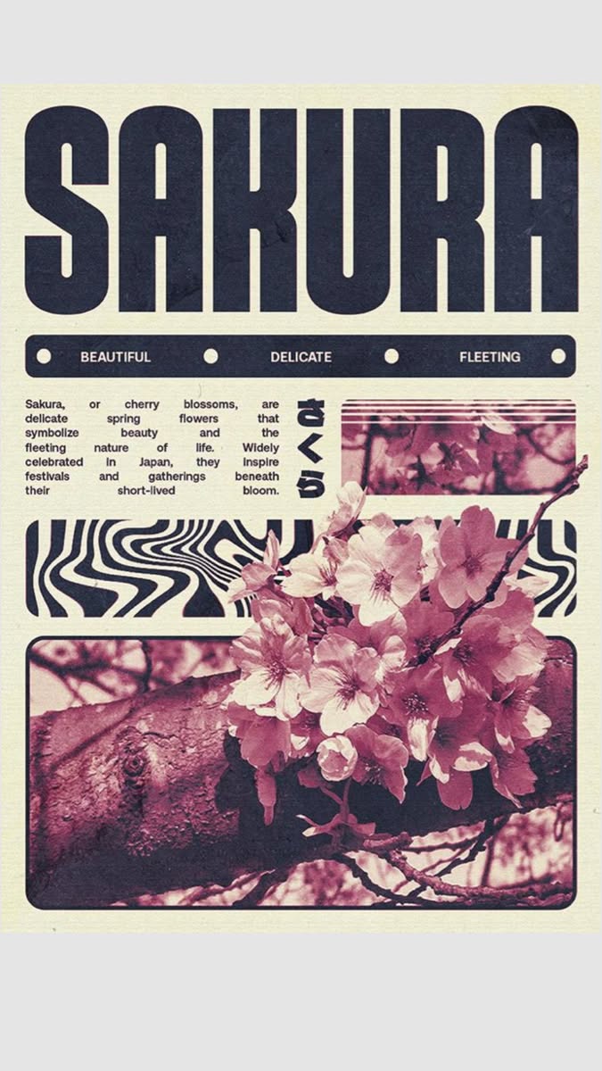 Sakura Cherry Blossom Poster
