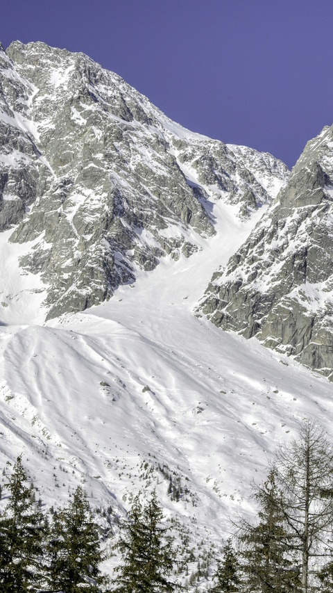 Snowy Mountain Winter Landscape