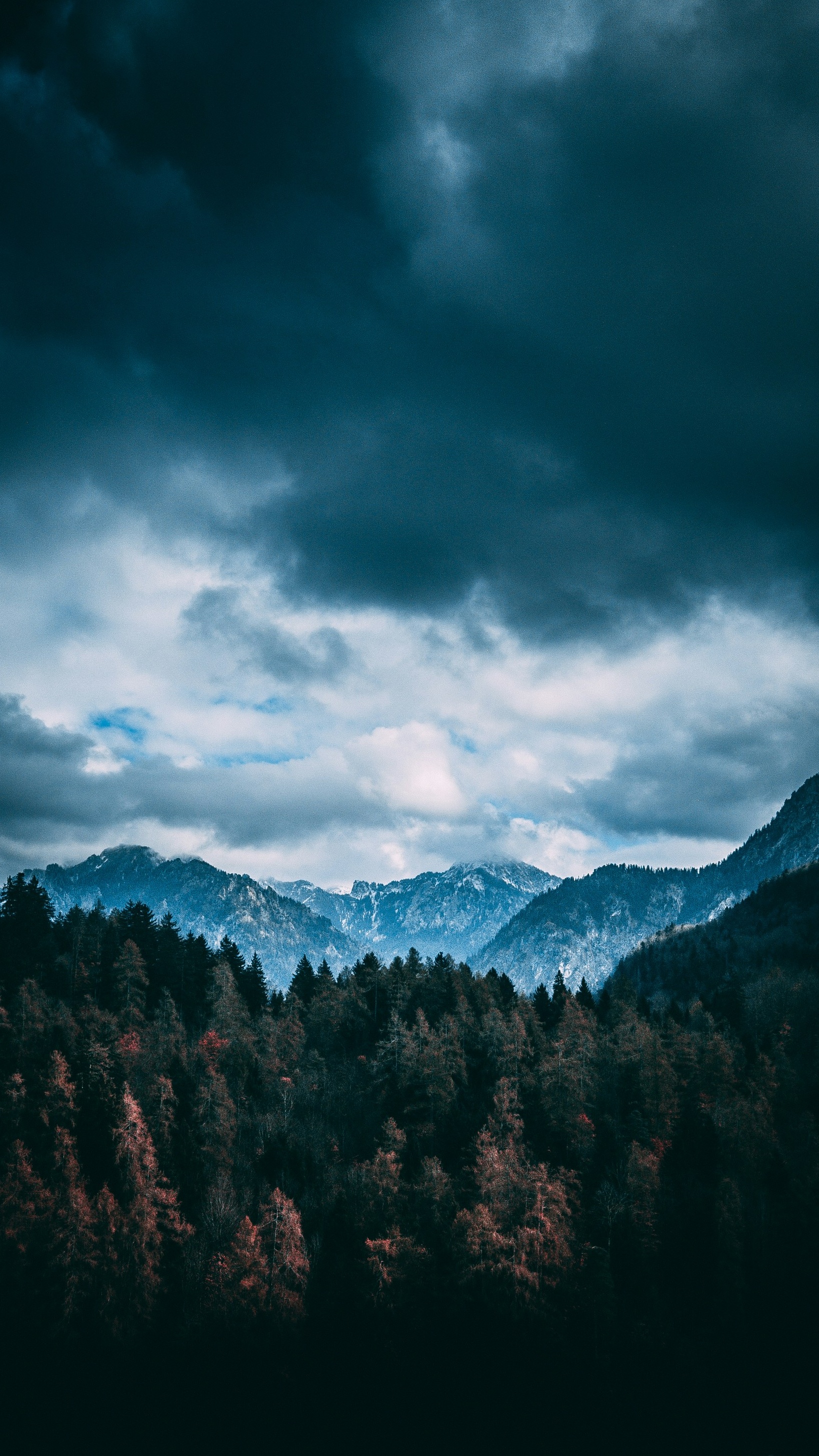 Wallpapers