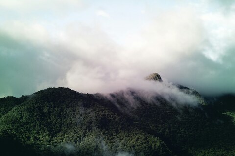 Misty Forested Mountain Peak