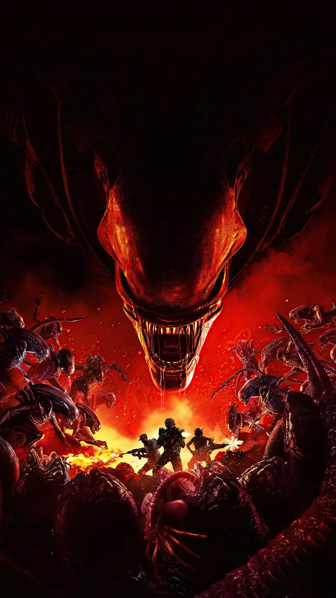 Wallpapers