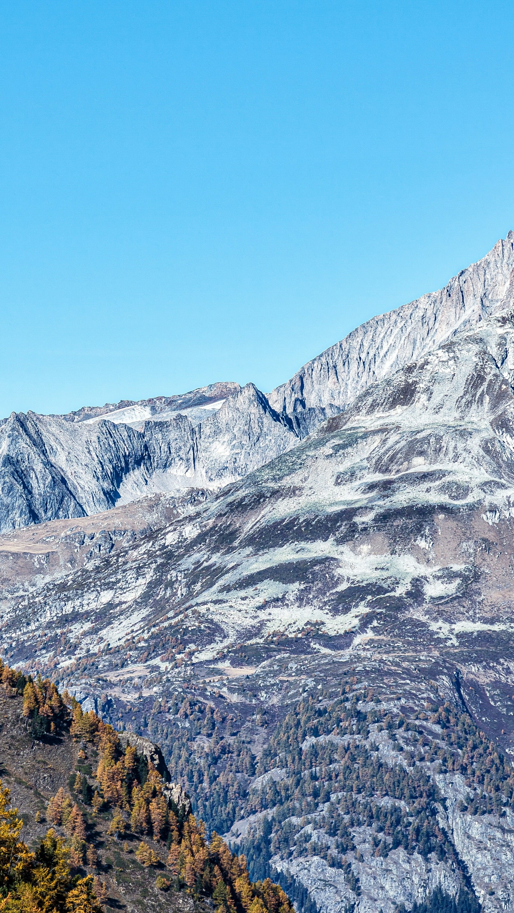Autumn Rocky Mountain Landscape