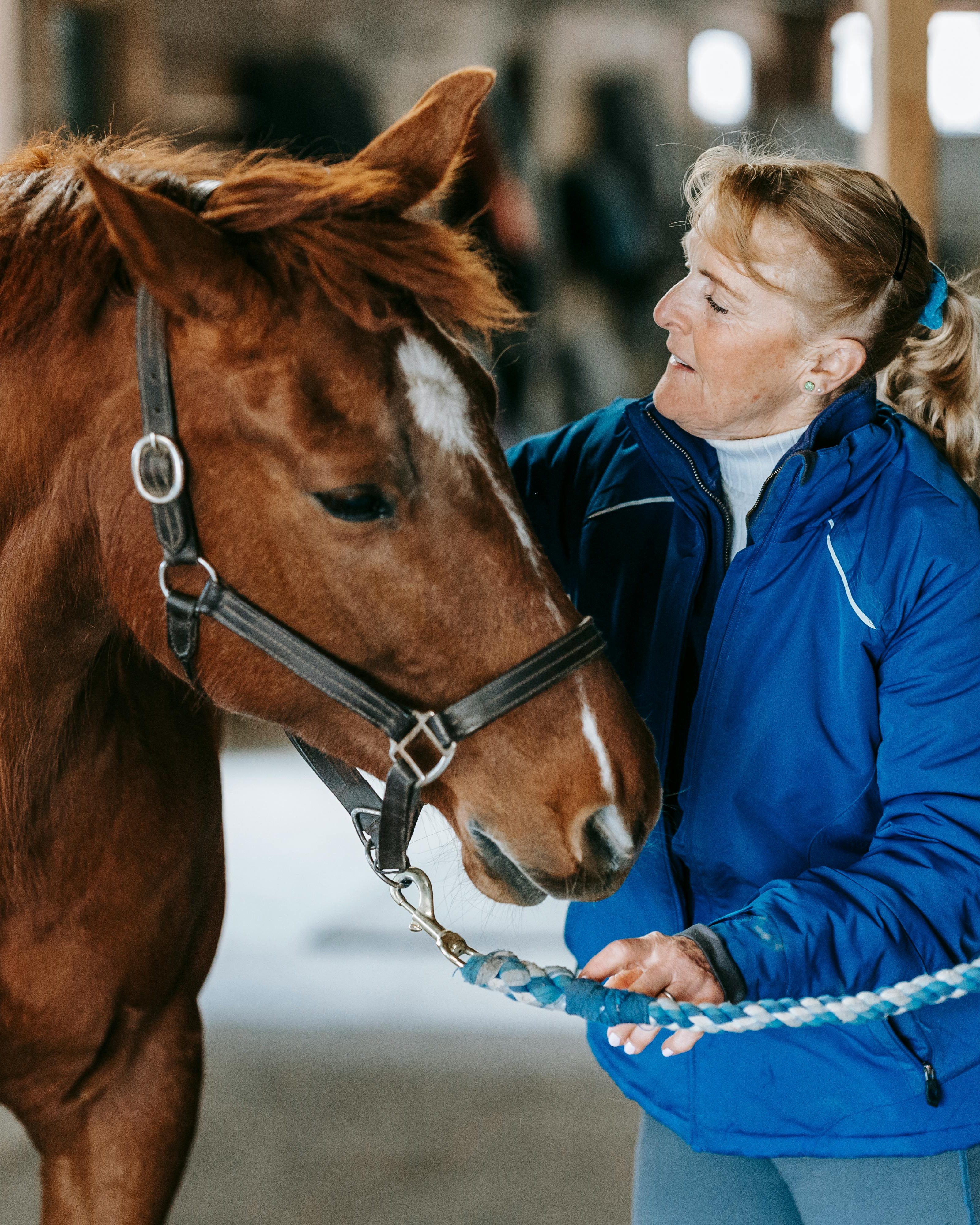 Woman With Chestnut Horse In Stable