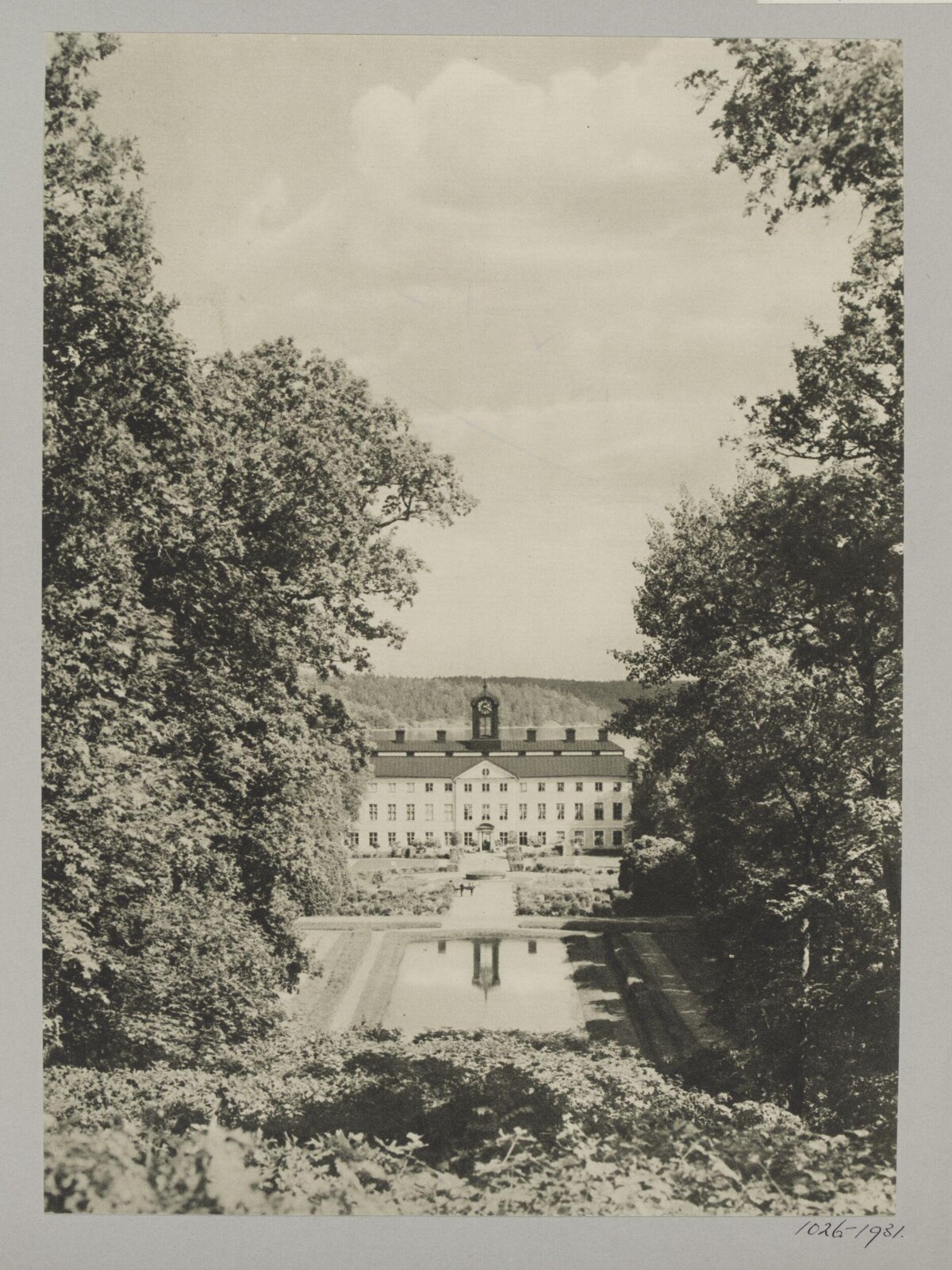 Stately Manor View Through Trees