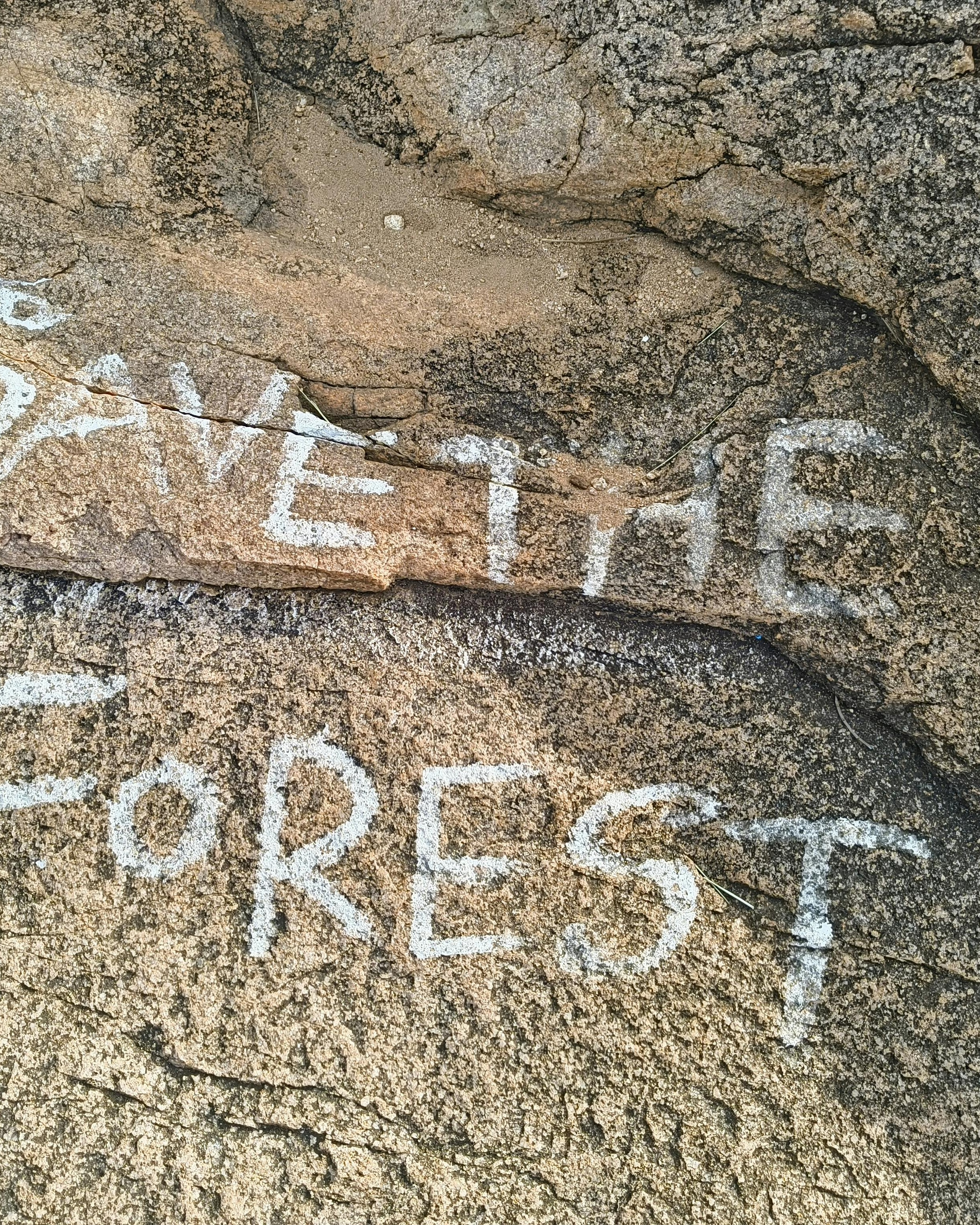 Save The Forest Graffiti On Rock